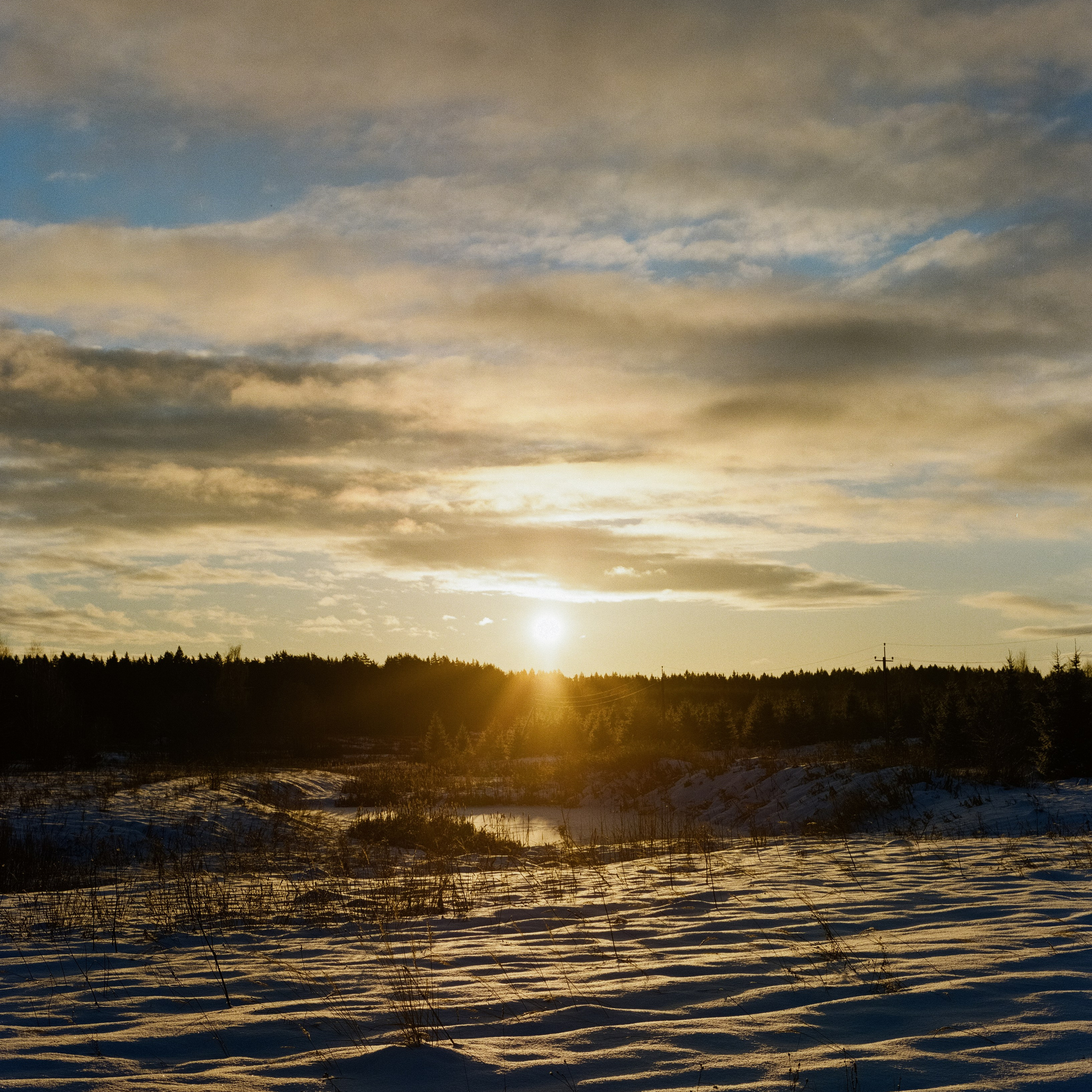 4–5 января 2025 года / Лукино / Kodak Portra 800 / Pentax 67 — SMC Pentax 67 105 mm f/2.4