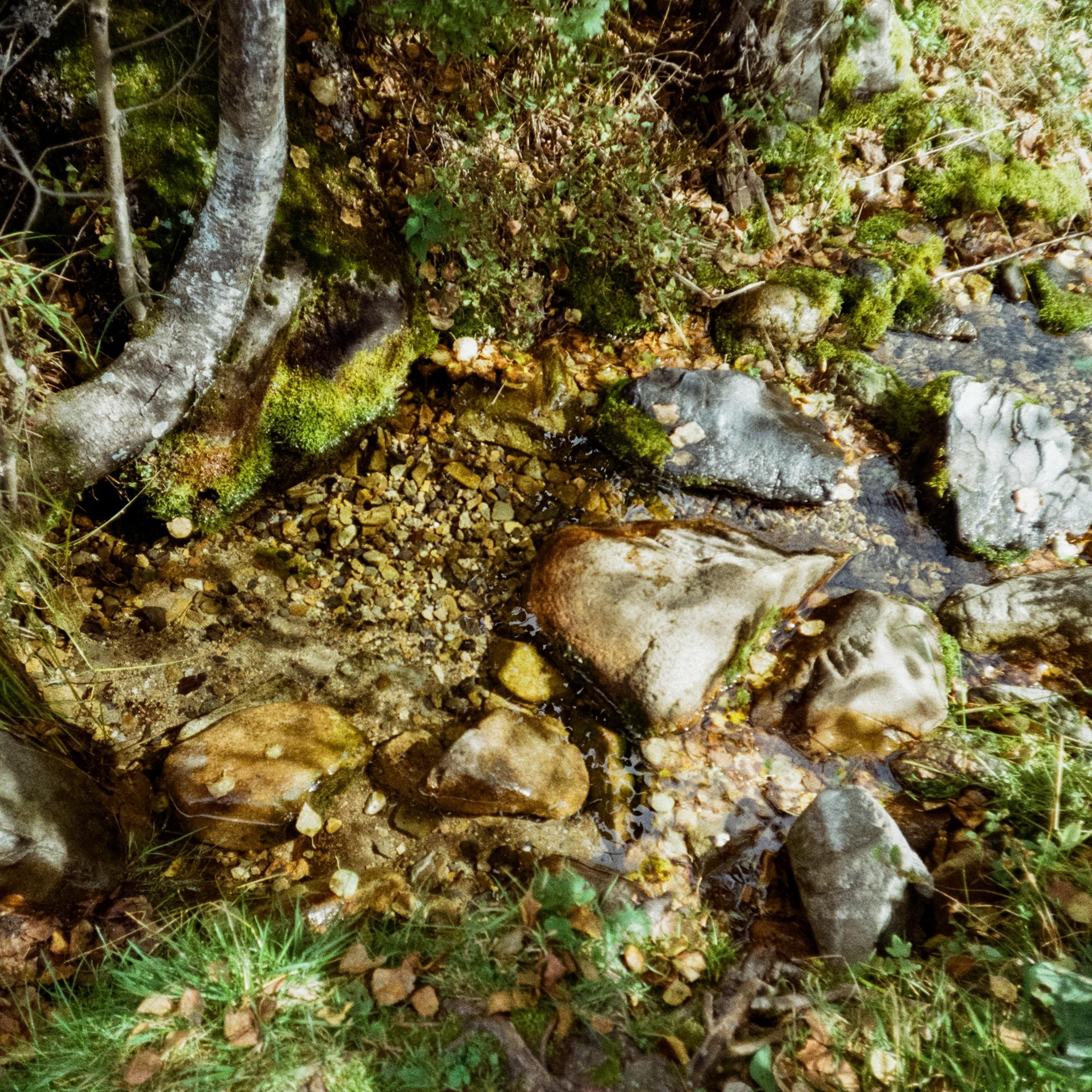 Река Куюм и окрестности / Kodak Gold 200 / Canon 11 World Cup 1994