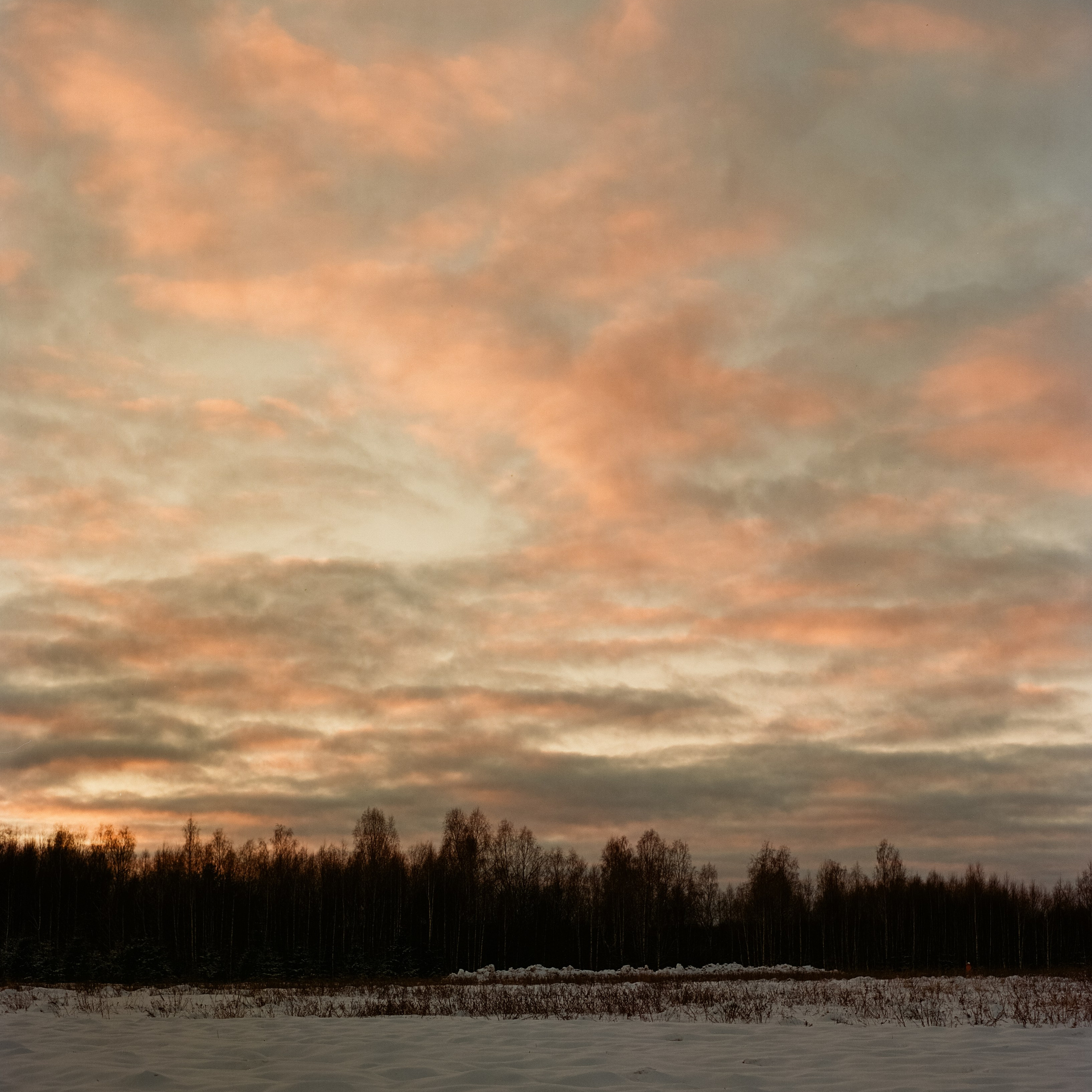 Pentax 67 — SMC Pentax 67 105 mm f/2.4 / Kodak Aerocolor IV ISO 100 / 3 января Лукино