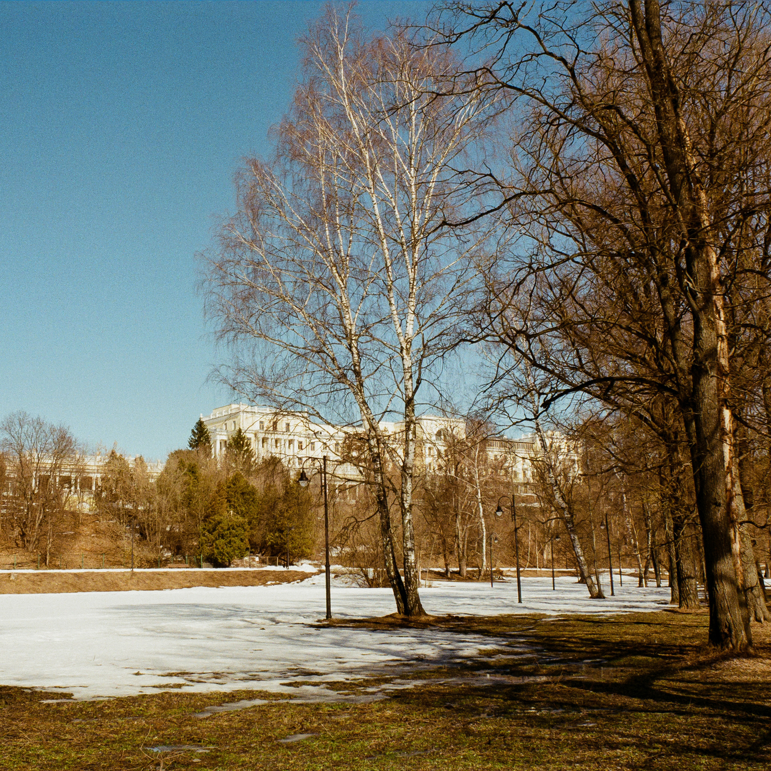 Kodak Ektar 100 / Contax N1