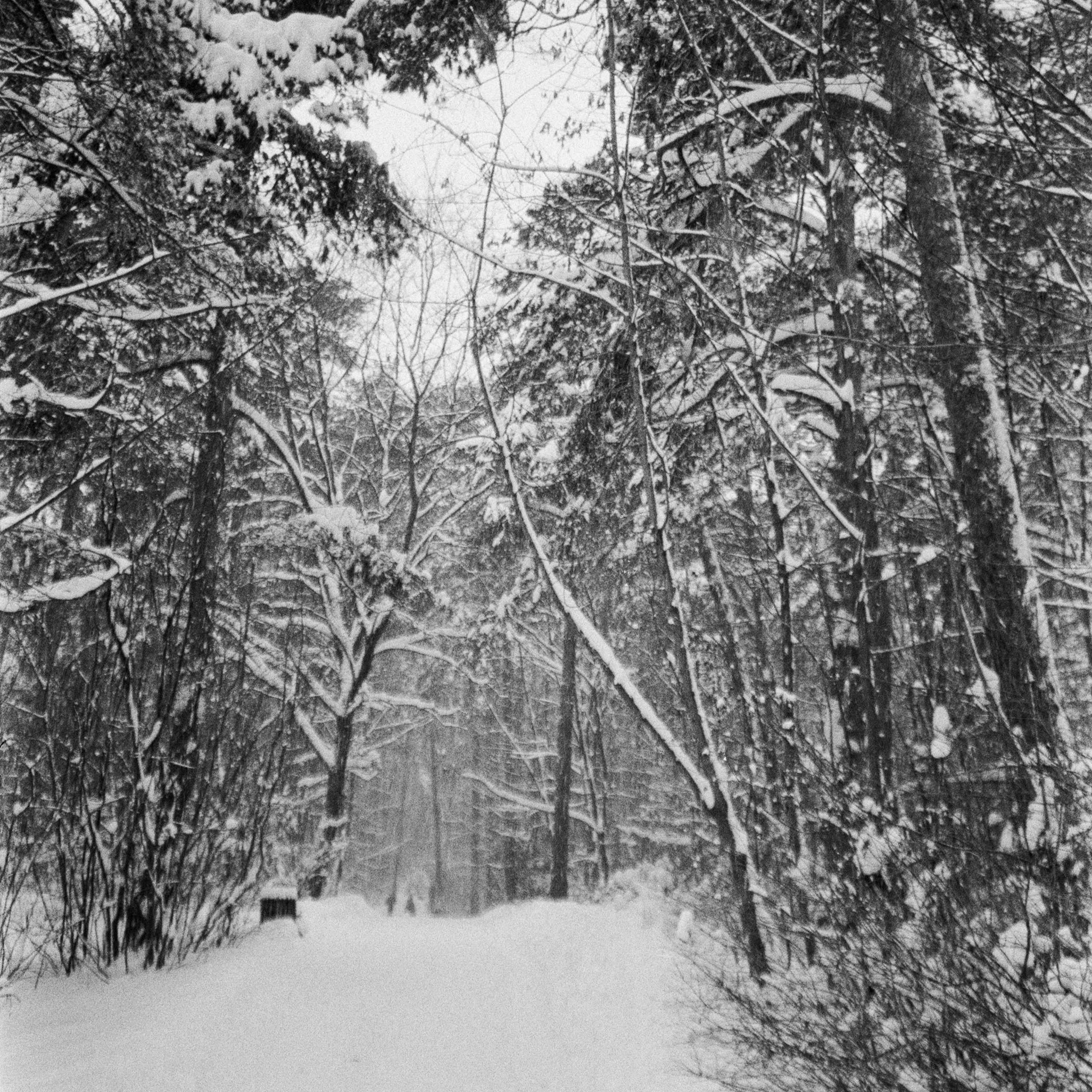 Fuji DL-300 / Double X 5222 BW ISO 125