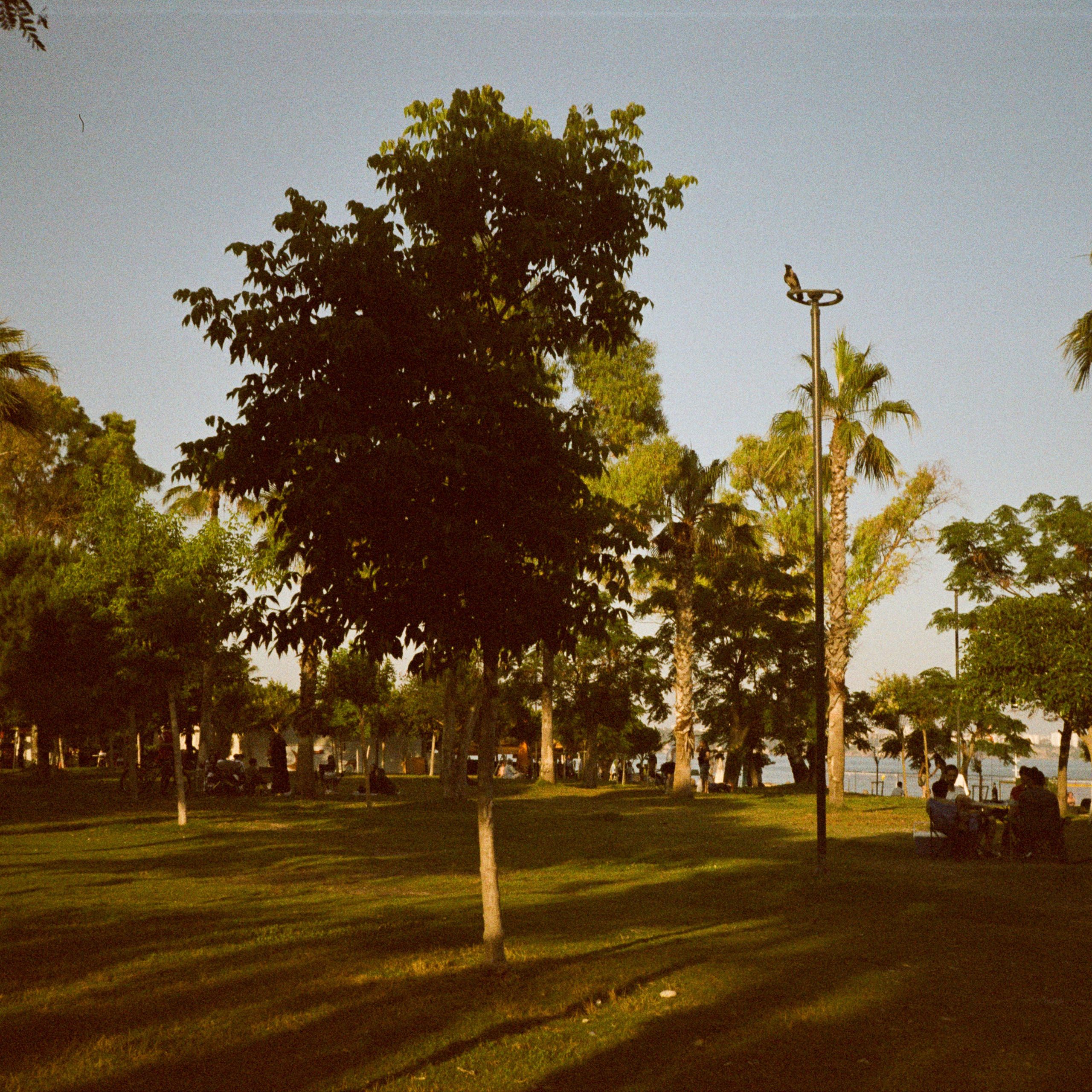 Набережная Антальи 16 июня 2023 г. / Kodak Gold 200 at ISO 50