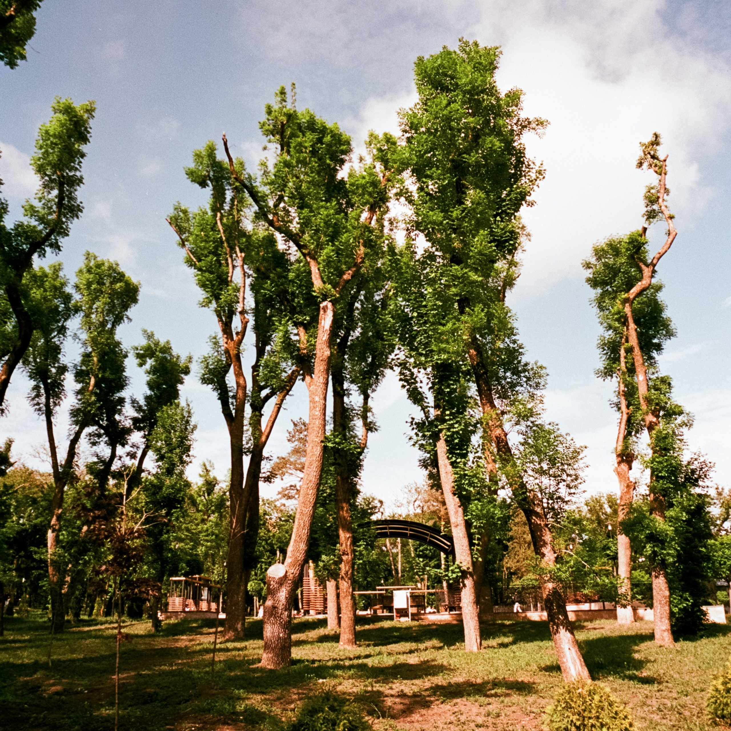 6 мая Парк Ессентуки / Voigtlander BESSA-T / Kodak Aerocolor IV