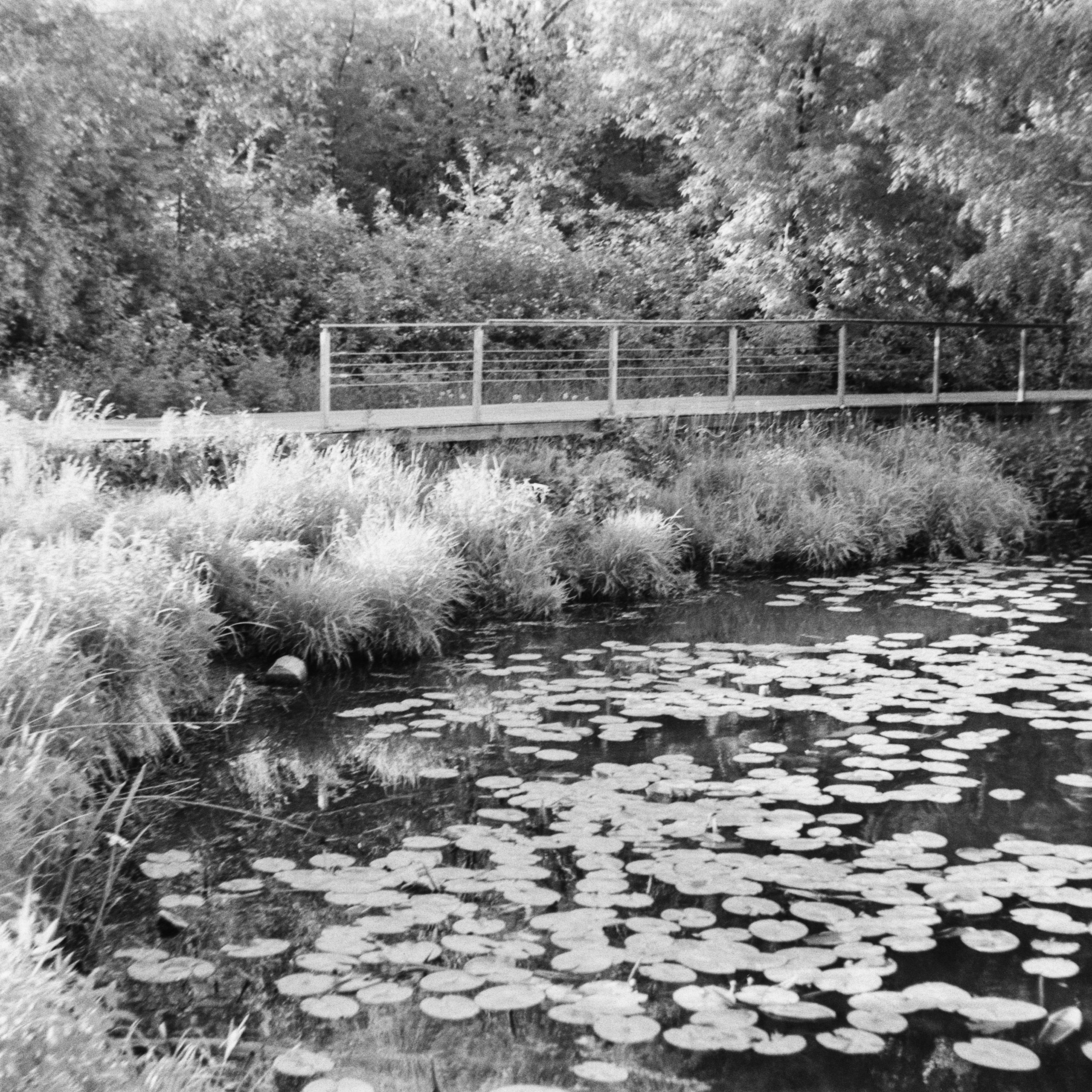 Welta Weltini — Schneider Xenon 50 mm f2.0 / Agfa Aviphot Pan BW ISO 200