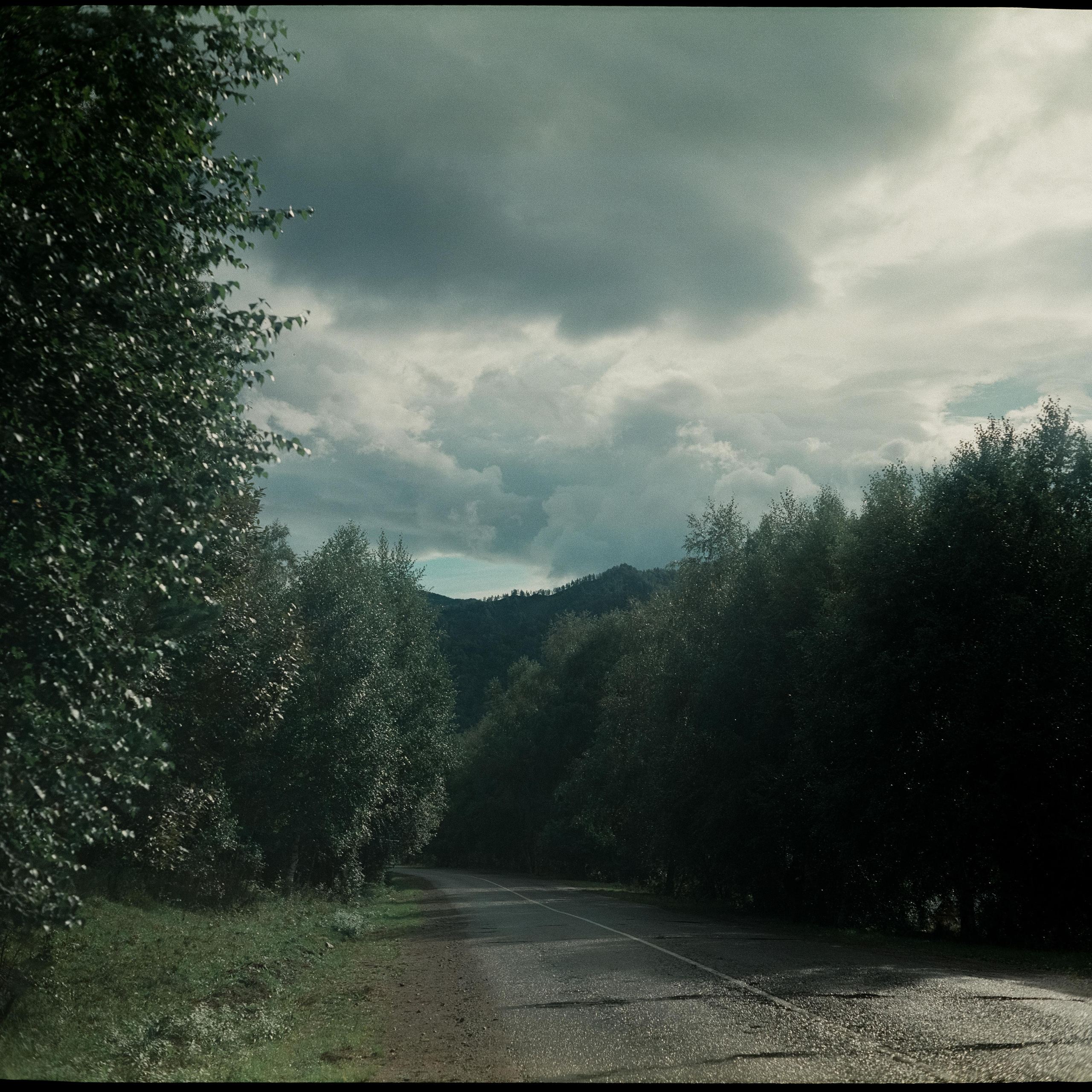 Чемальский тракт / Super Fujica-6 / Fujifilm NPL 160