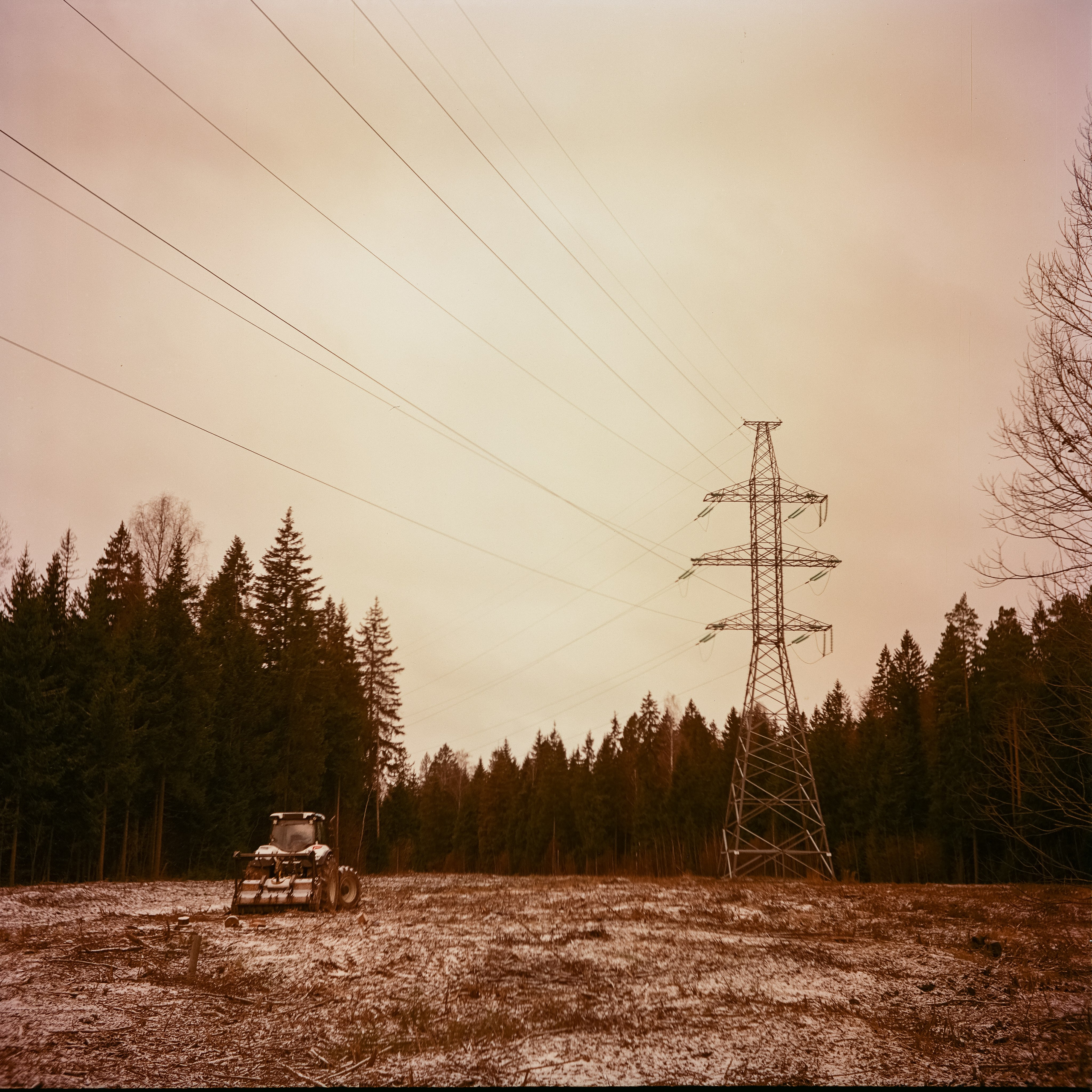 Yashica 635 / Aeronega 100 (Kodak Aerocolor IV) / ноябрь 2024 Лукино