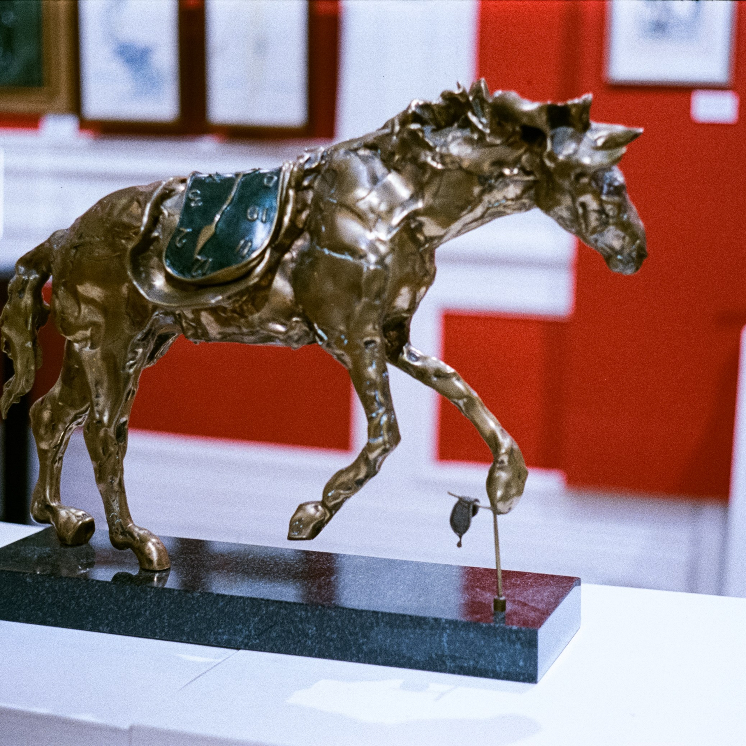 Галерея Дали и Пикассо | март 2026 | SFL 500T | Konica IIIA