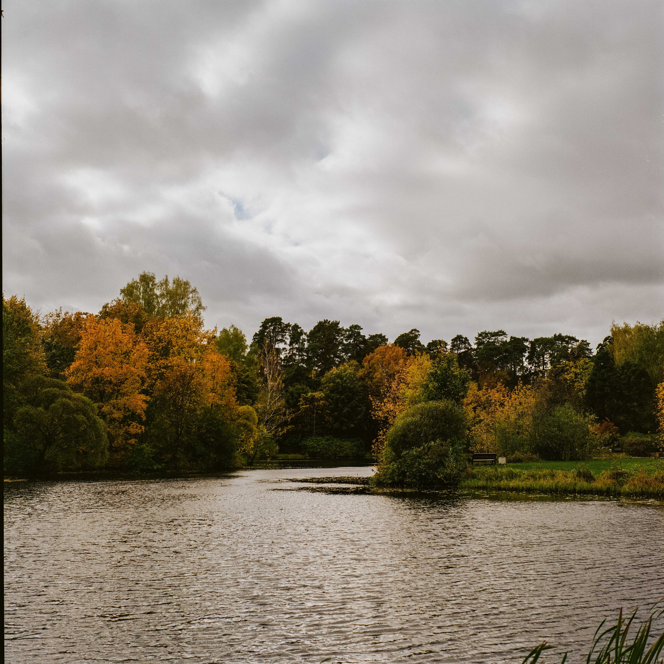 Обзор фотоаппарата Yashica MAT 124G