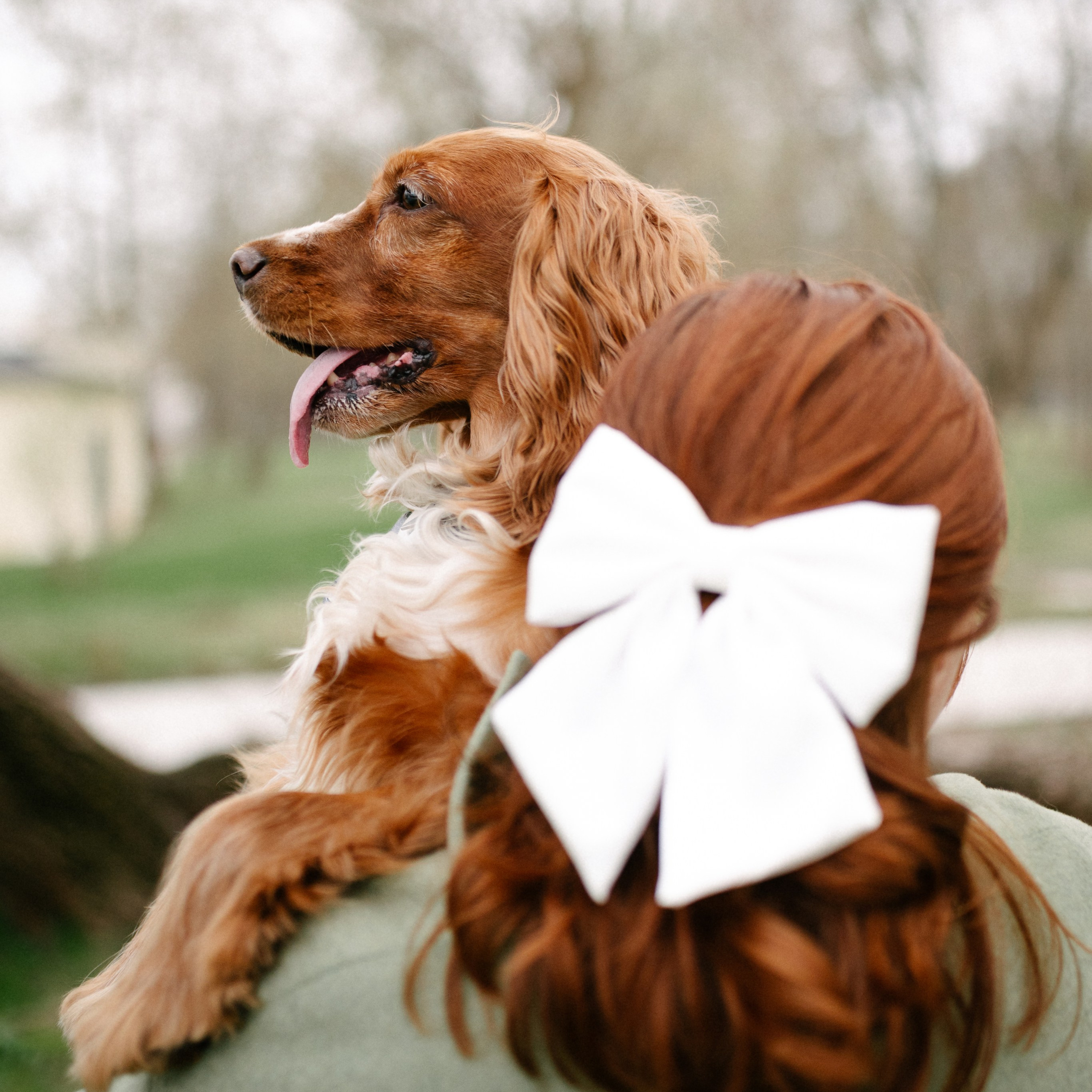 Рыжая команда