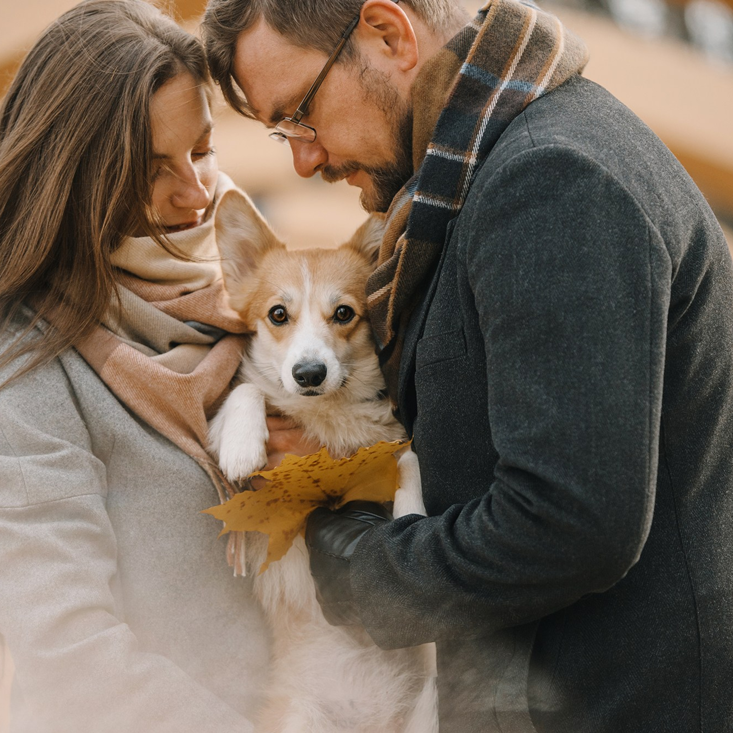 Человек и его друзья. Фотограф Анна Тюрина