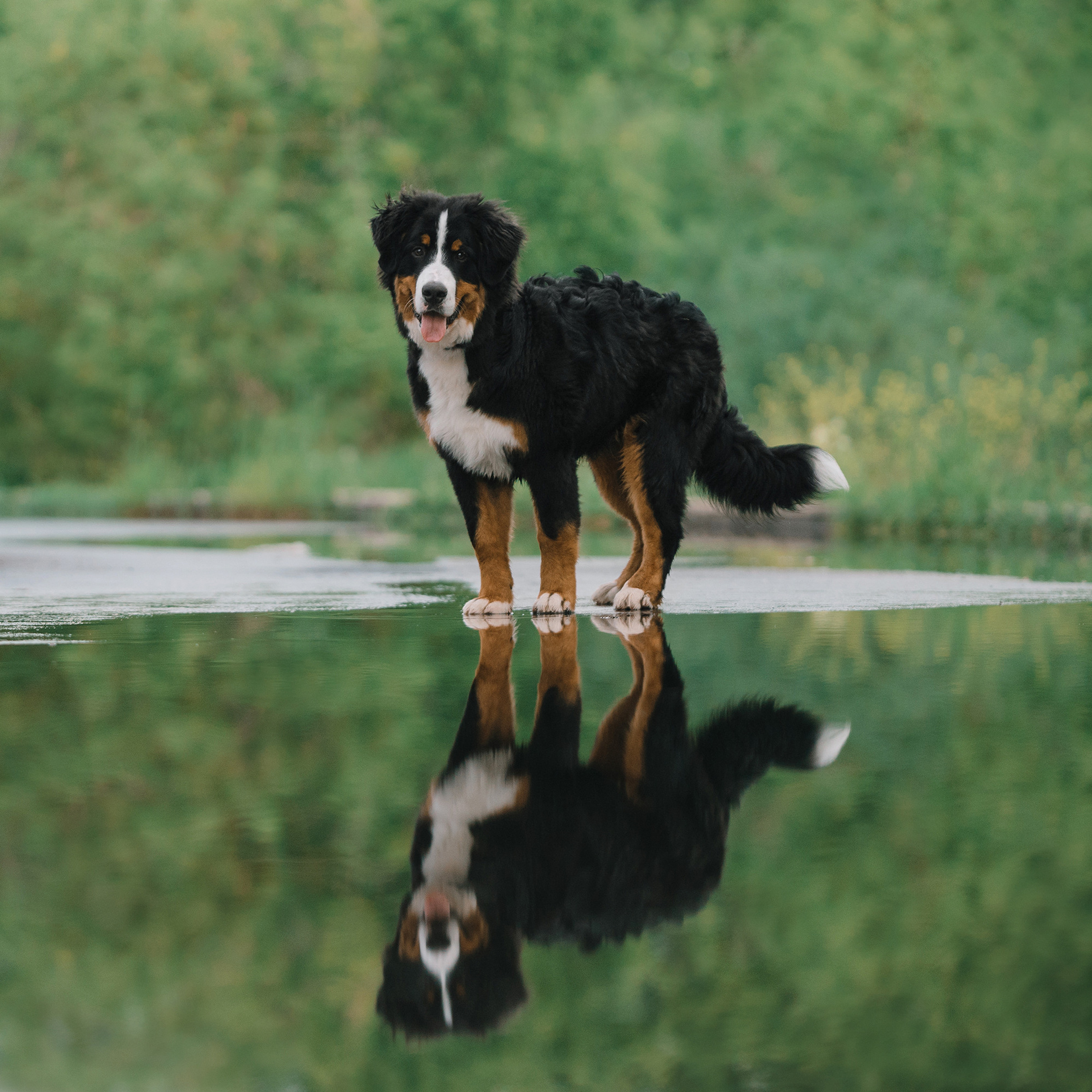 Оля и семья. Фотограф Анна Тюрина