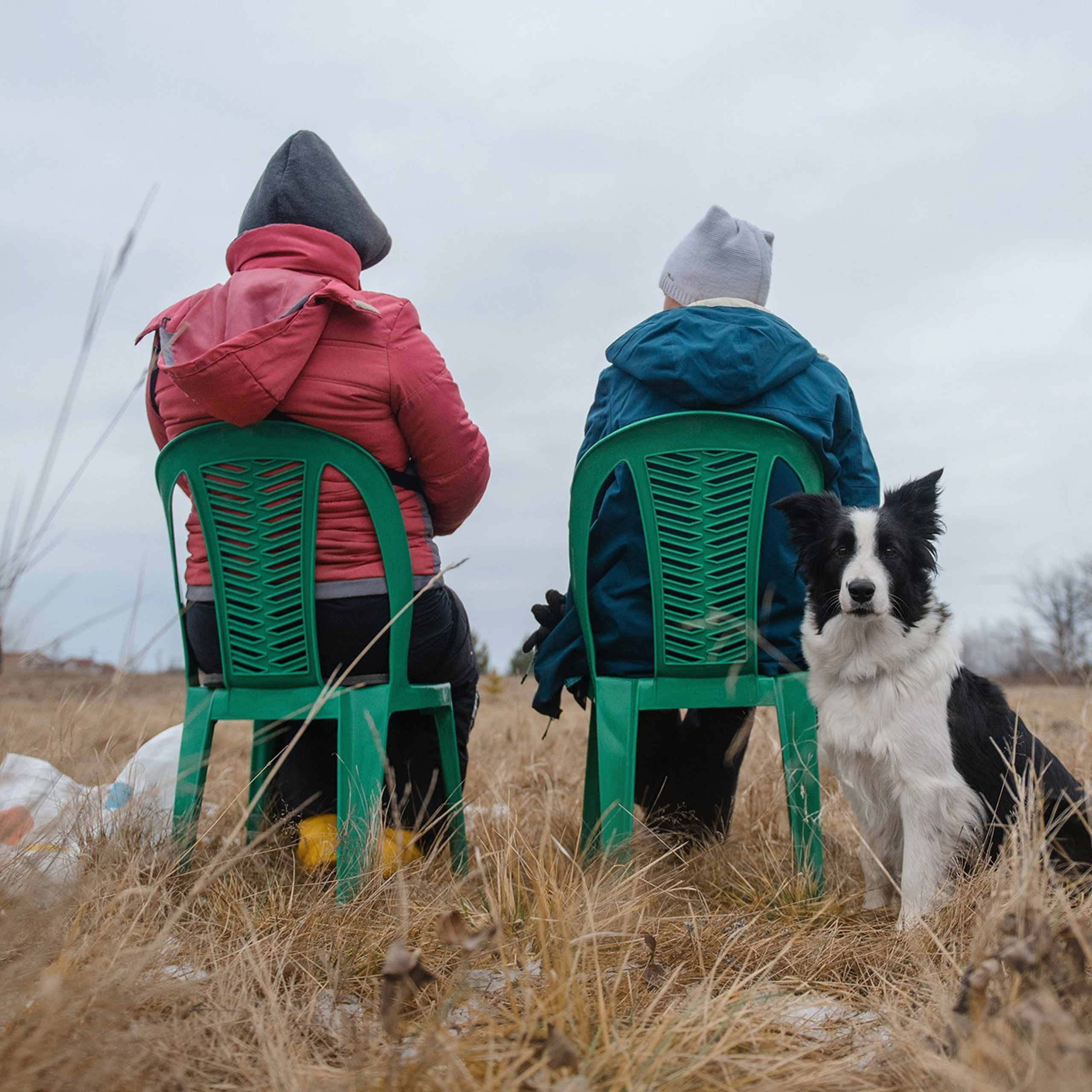Пастьба. Фотограф Анна Тюрина