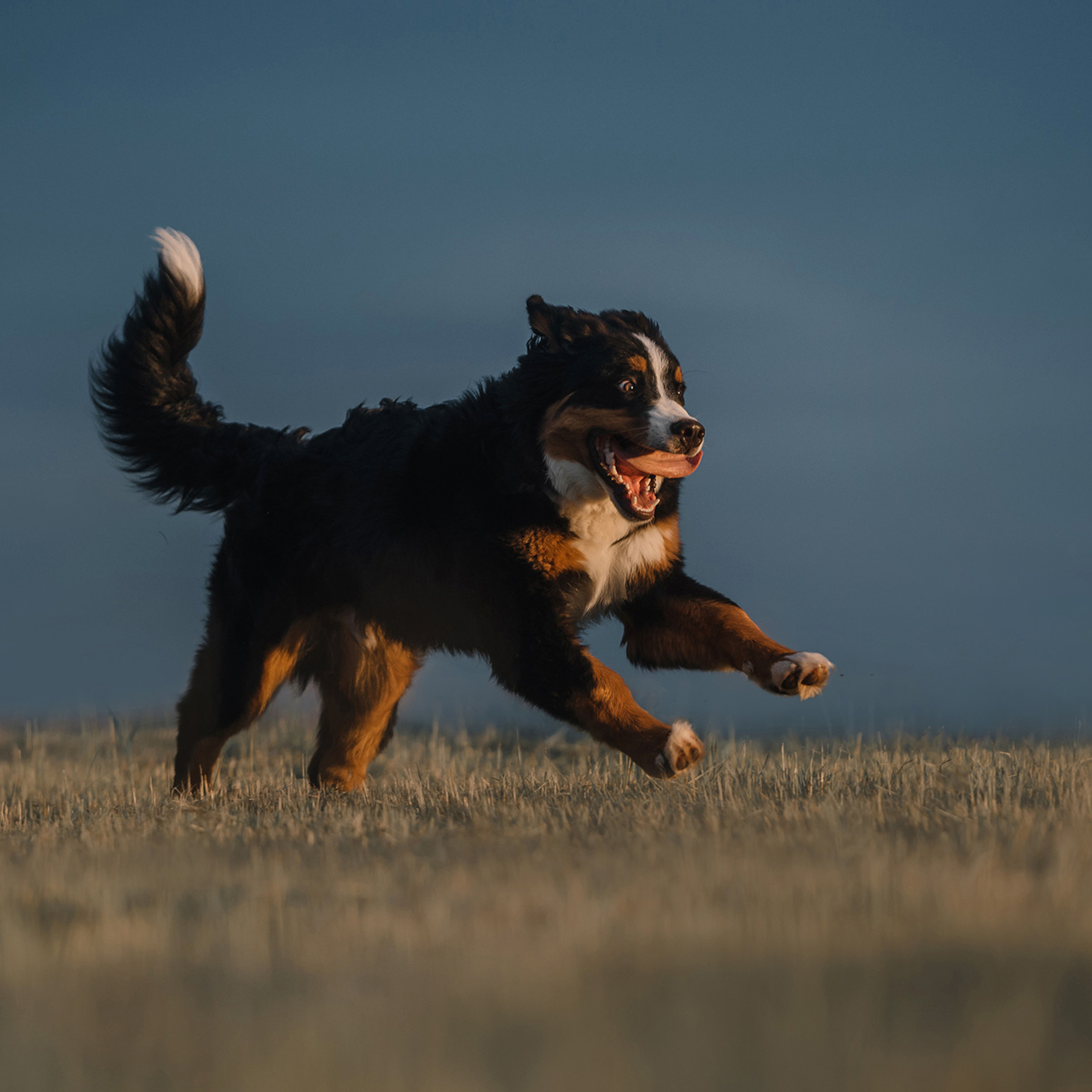 Оля и семья. Фотограф Анна Тюрина