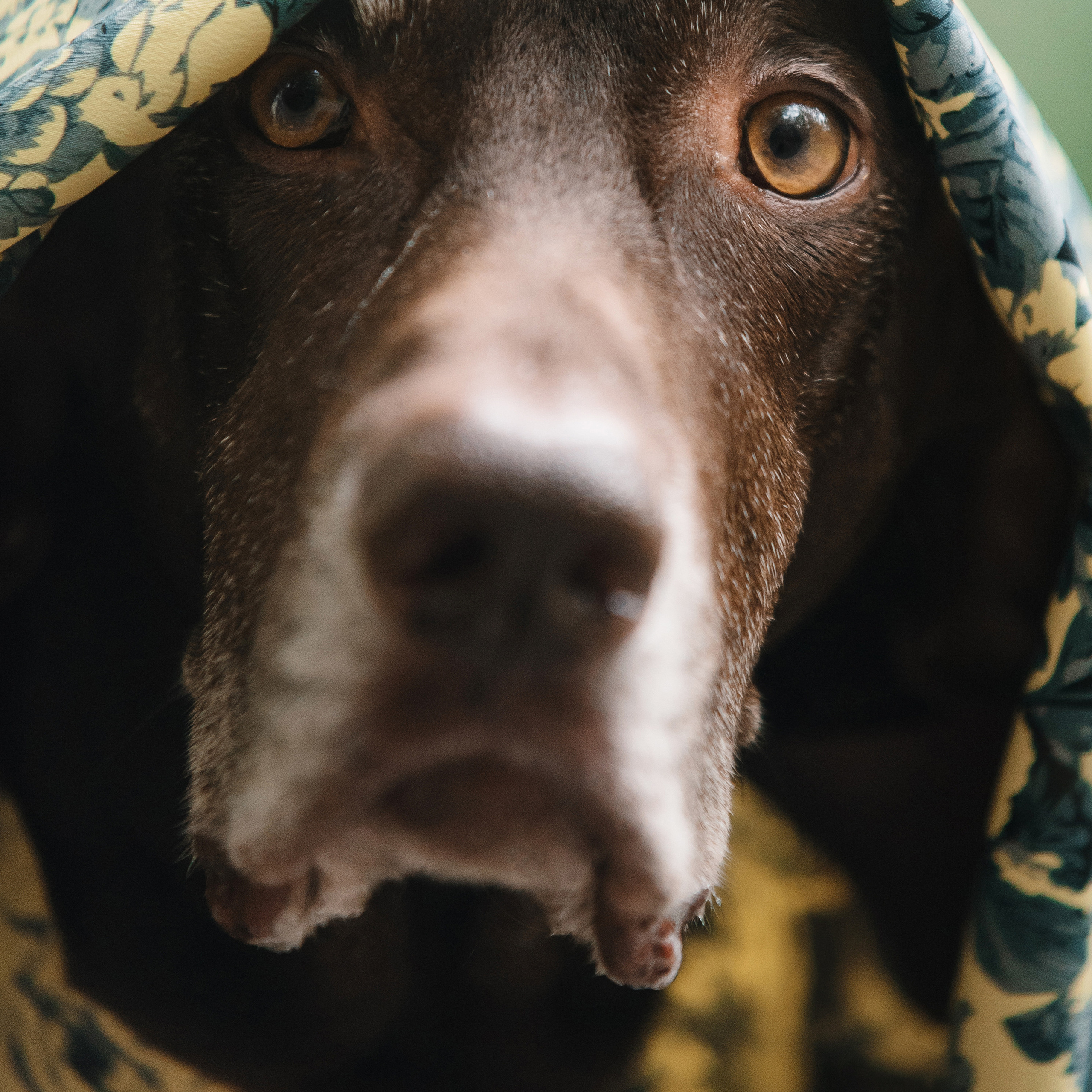 Ира и Клайд. Фотограф Анна Тюрина