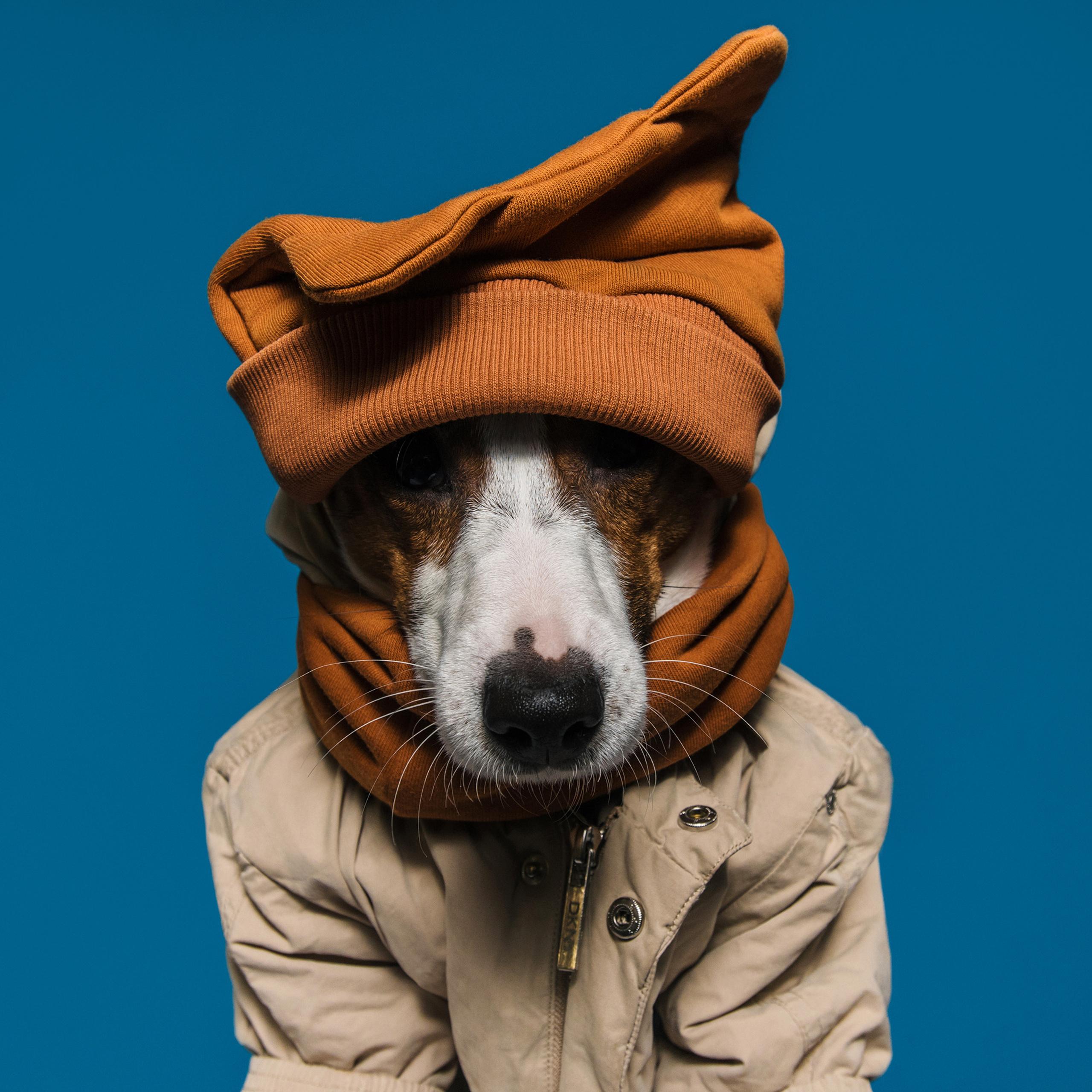 Фотодень в студии. Фотограф Анна Тюрина