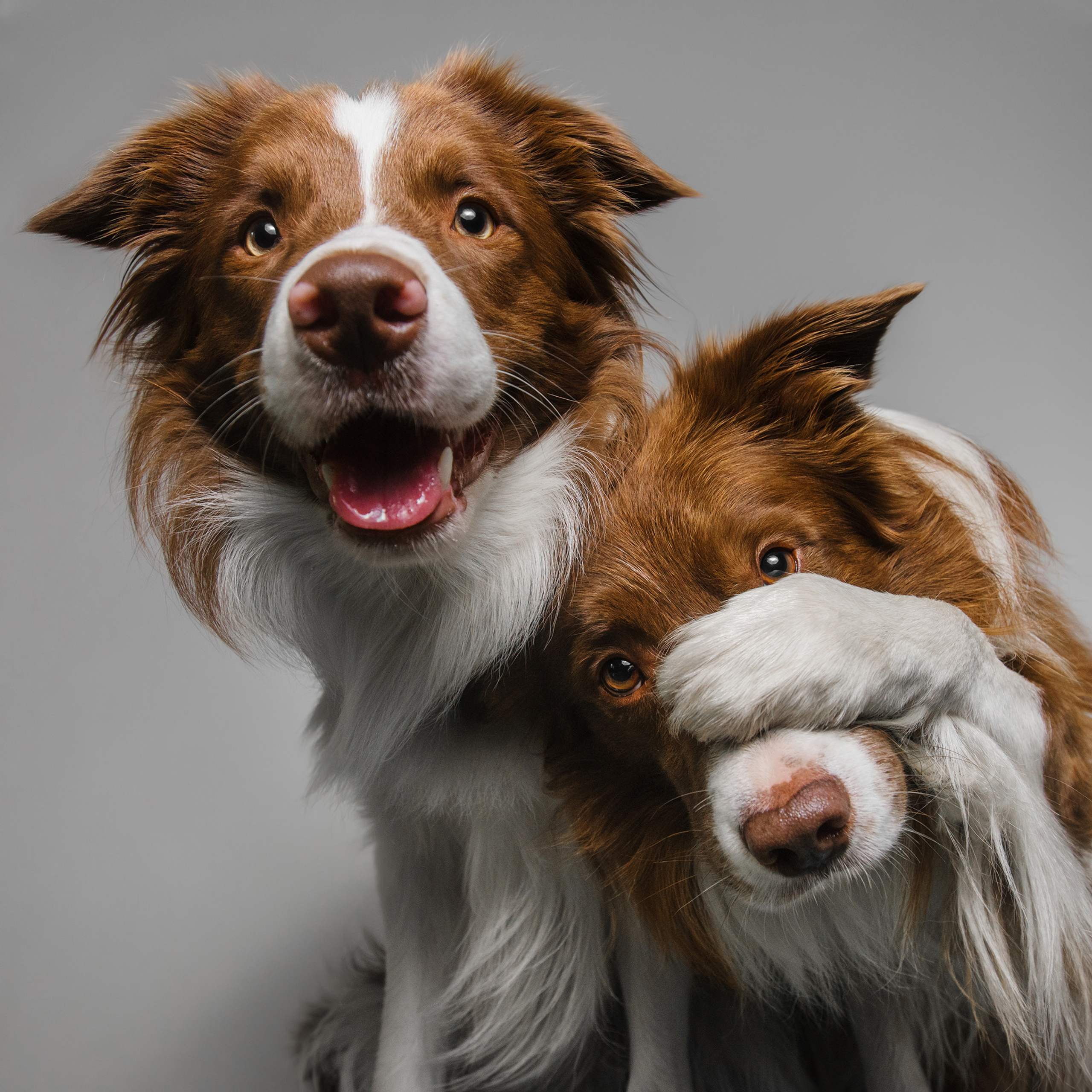 Съёмка с кусочком. Фотограф Анна Тюрина