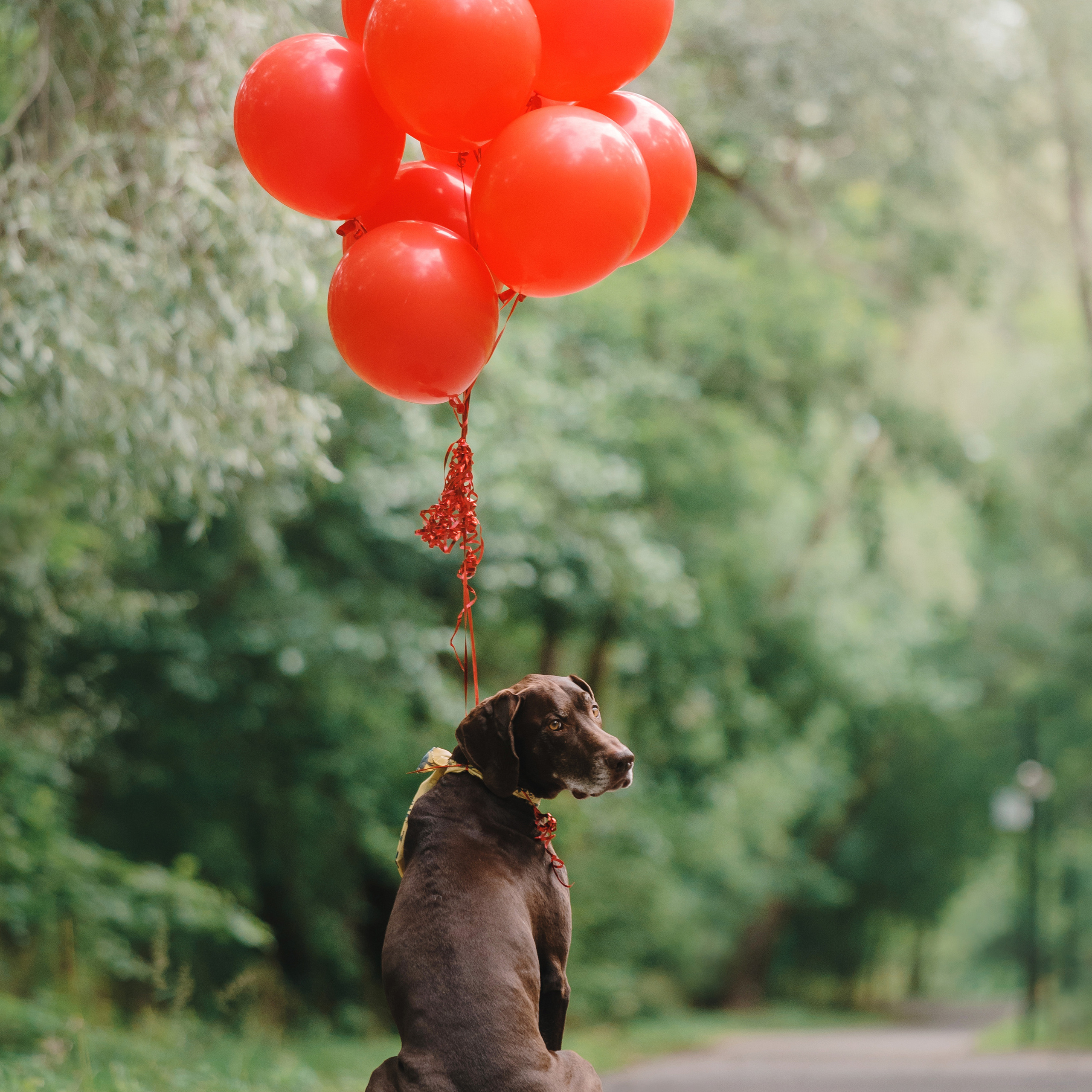 Ира и Клайд. Фотограф Анна Тюрина