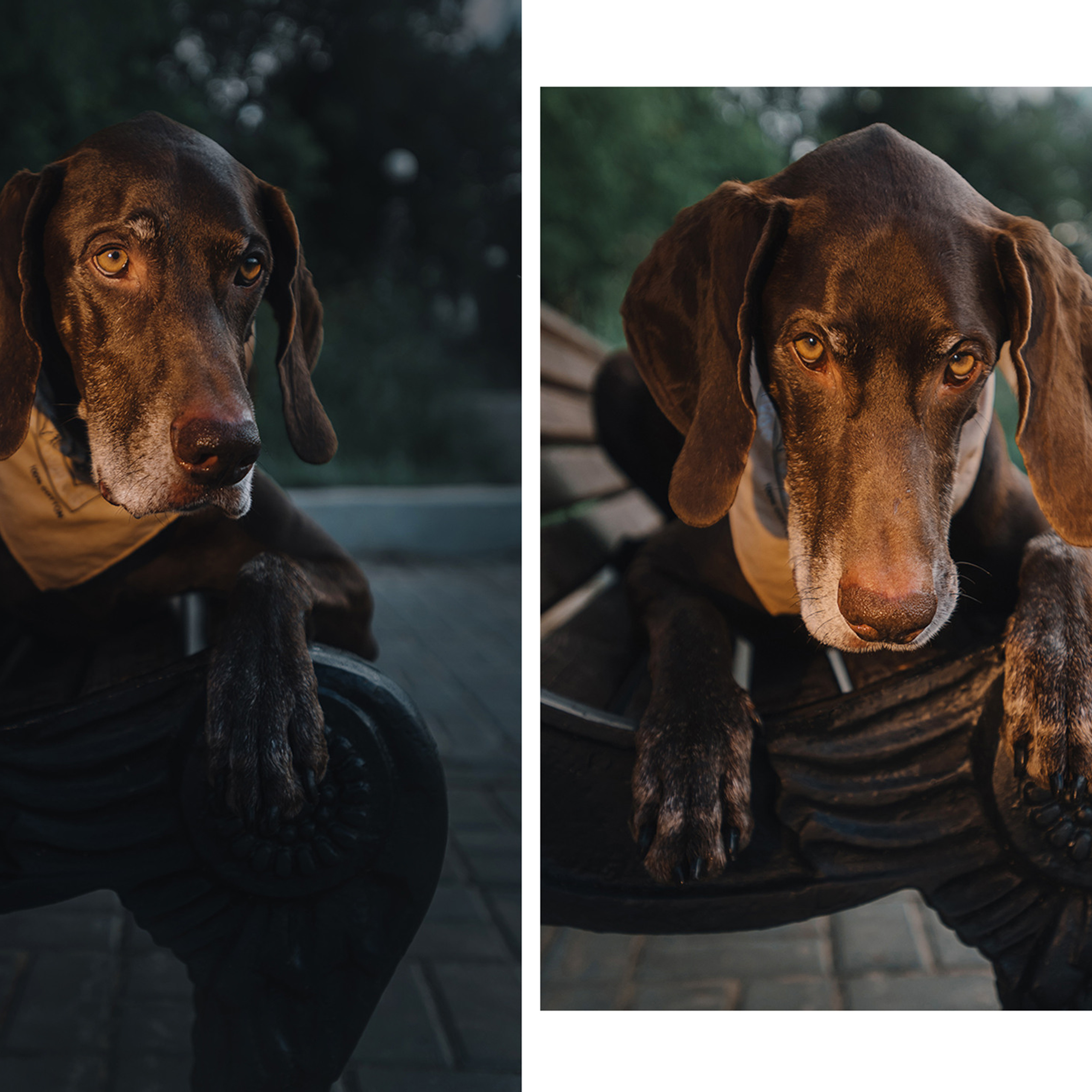 Ира и Клайд. Фотограф Анна Тюрина