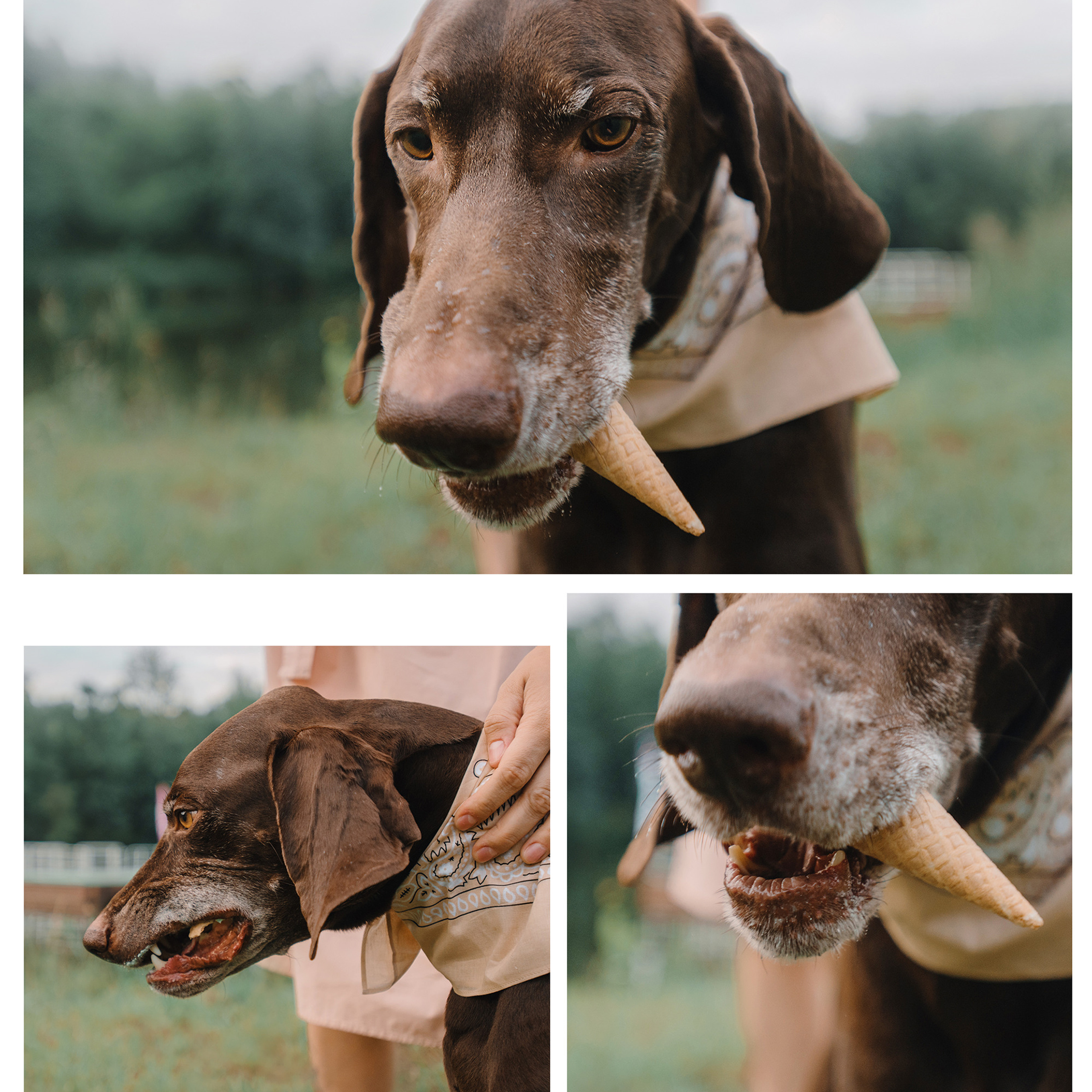 Ира и Клайд. Фотограф Анна Тюрина