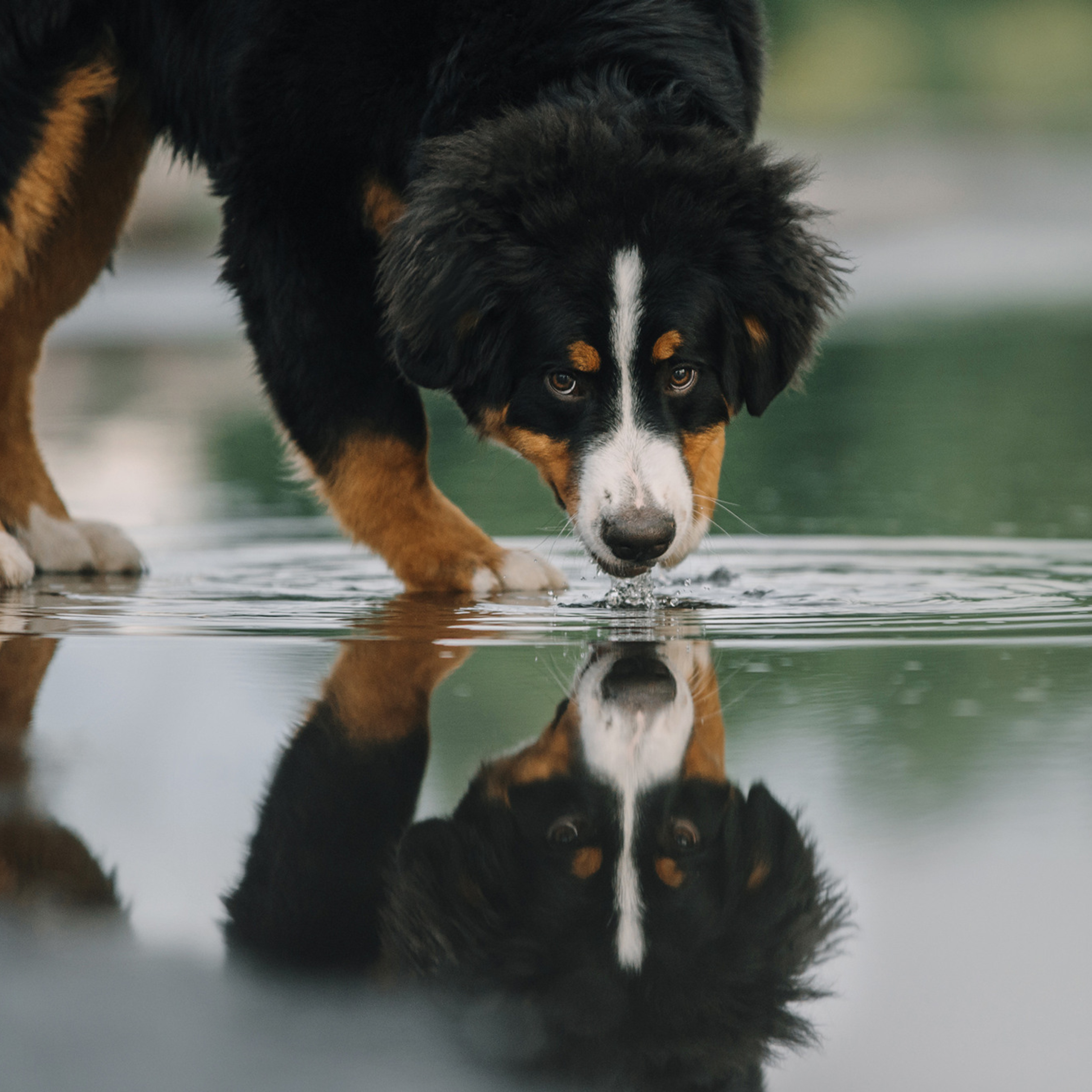 Оля и семья. Фотограф Анна Тюрина
