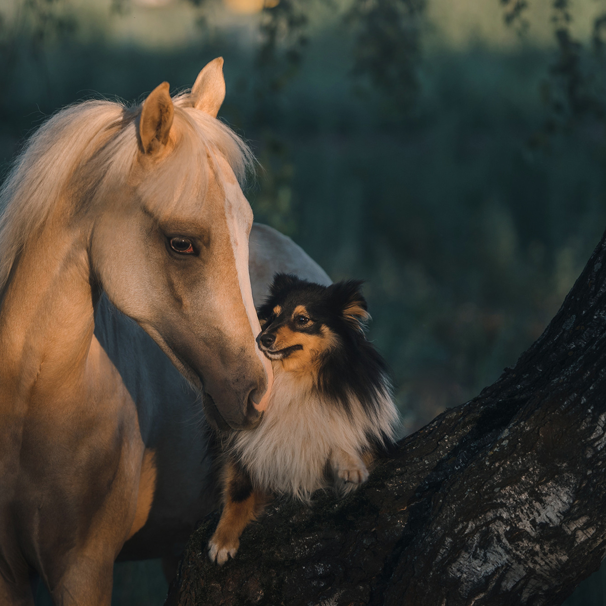 Евгения и семья. Фотограф Анна Тюрина