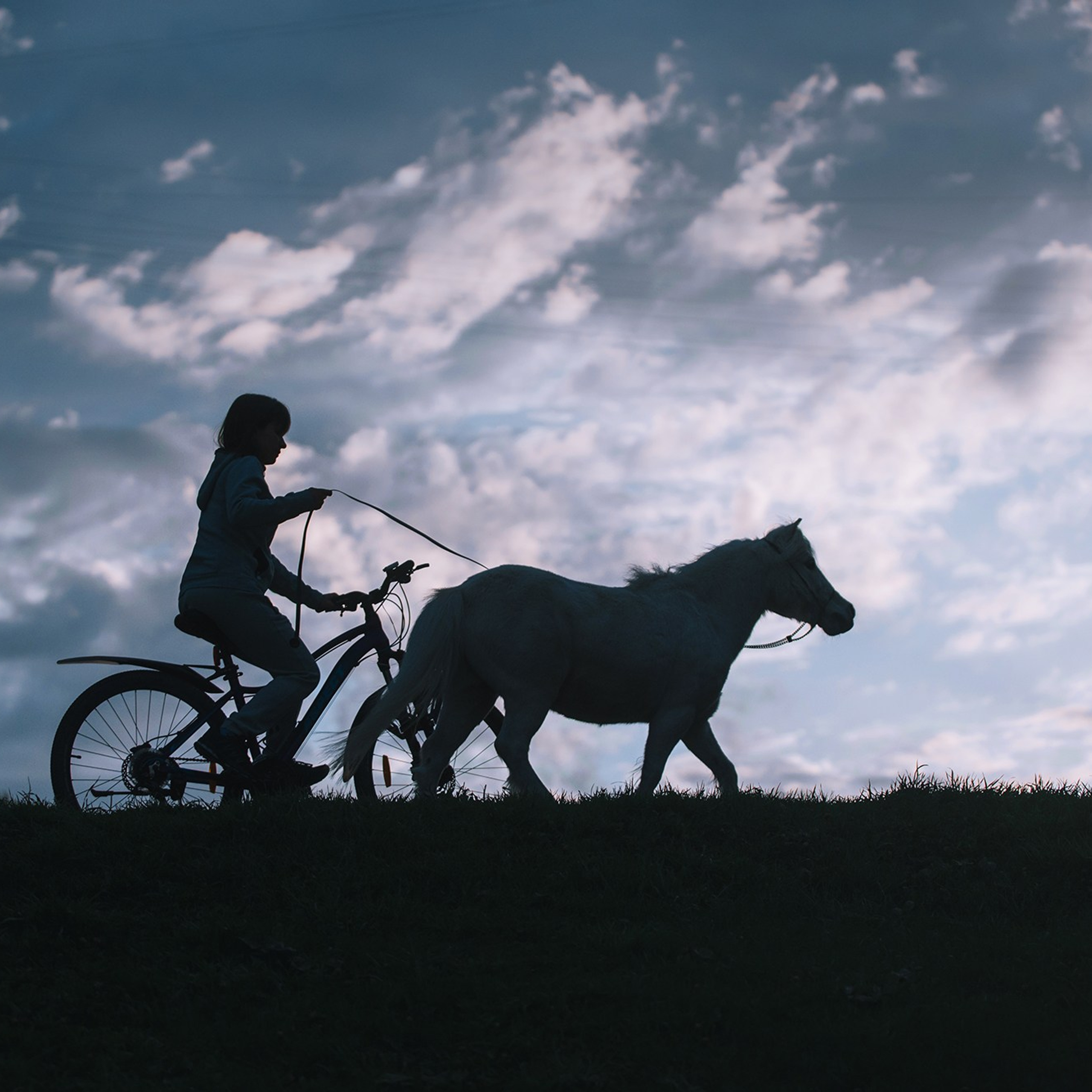 Человек и его друзья. Фотограф Анна Тюрина