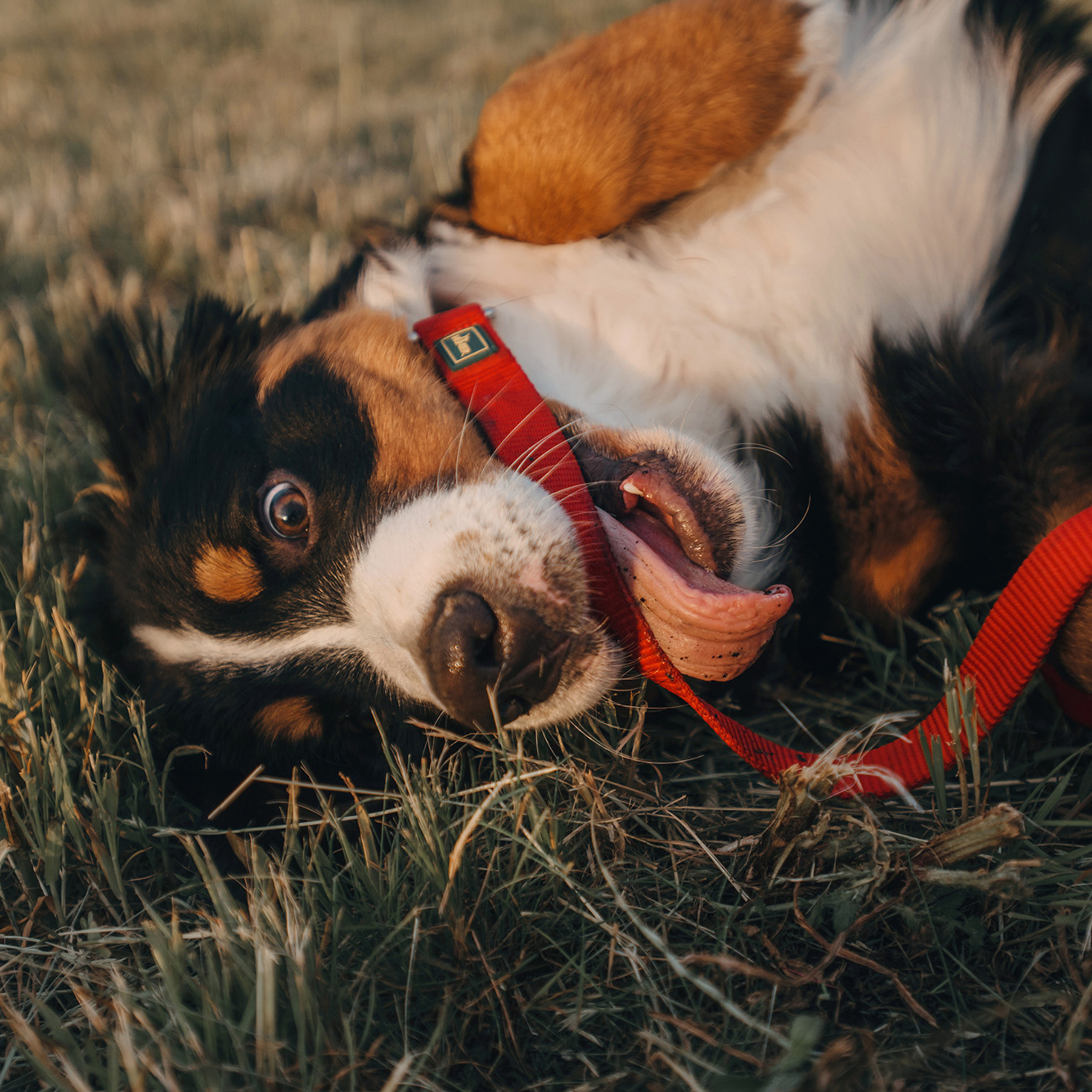 Оля и семья. Фотограф Анна Тюрина