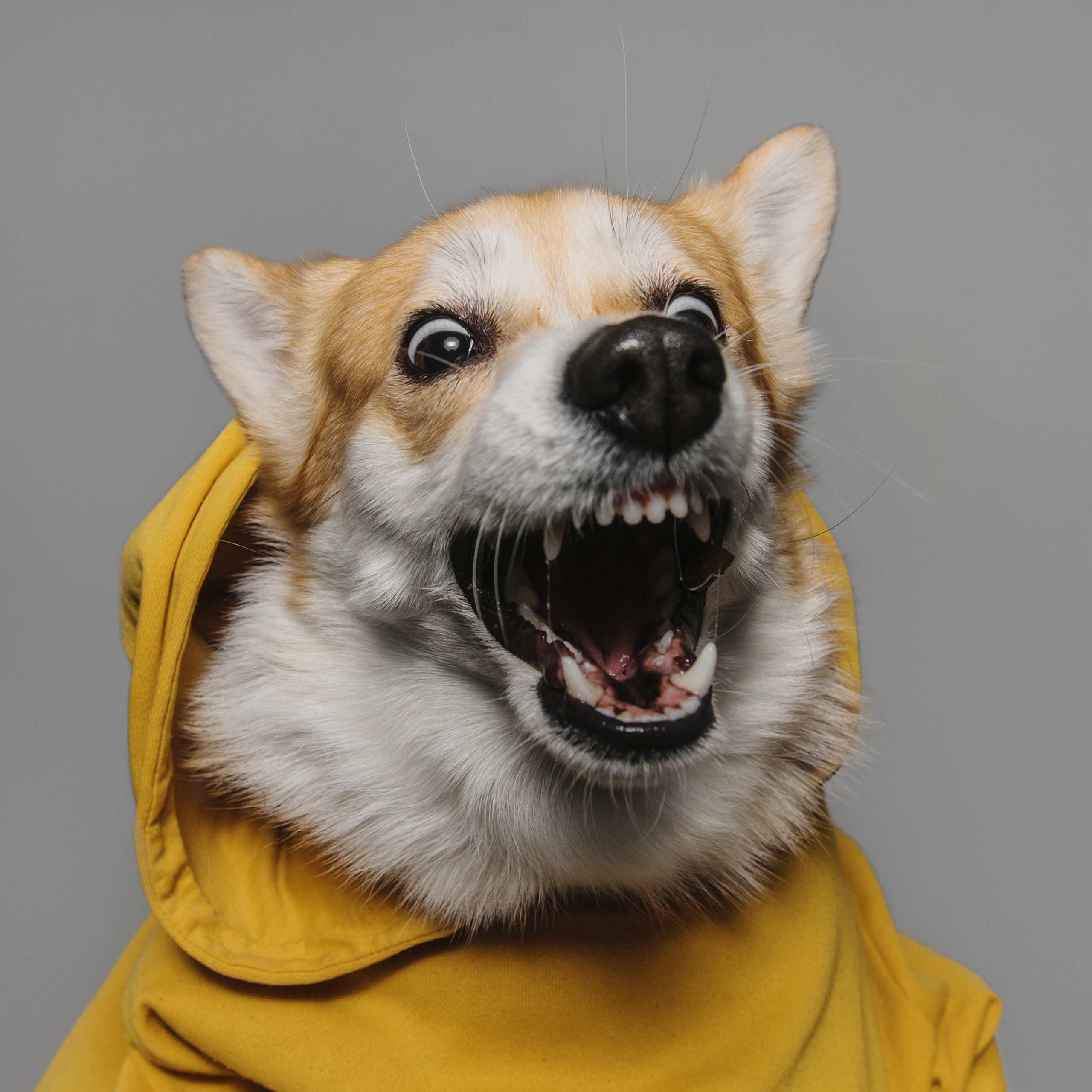 Фотодень в студии. Фотограф Анна Тюрина