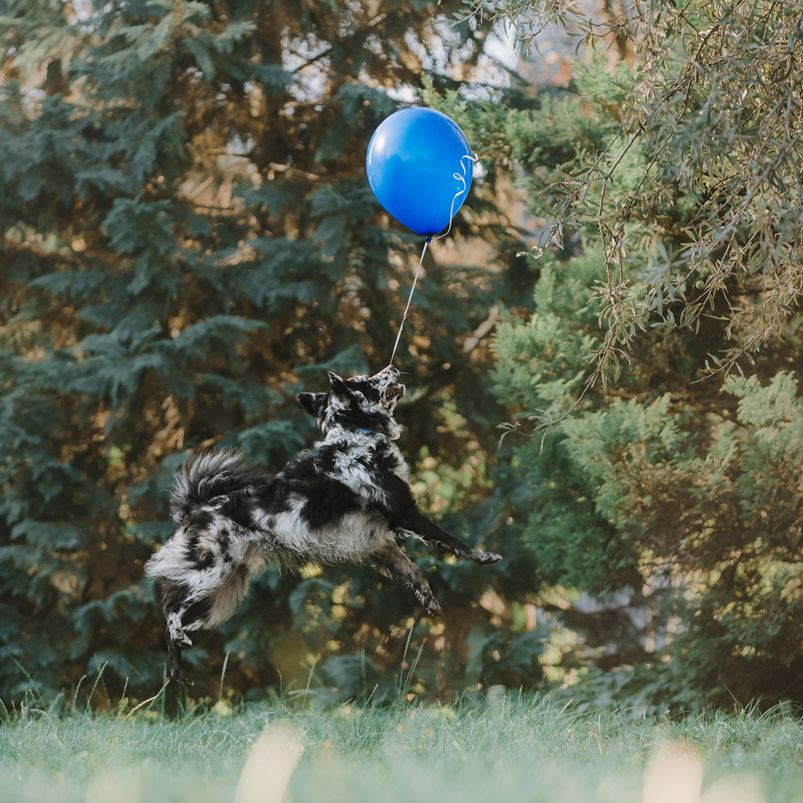 Ира, Инди и Сеня. Фотограф Анна Тюрина
