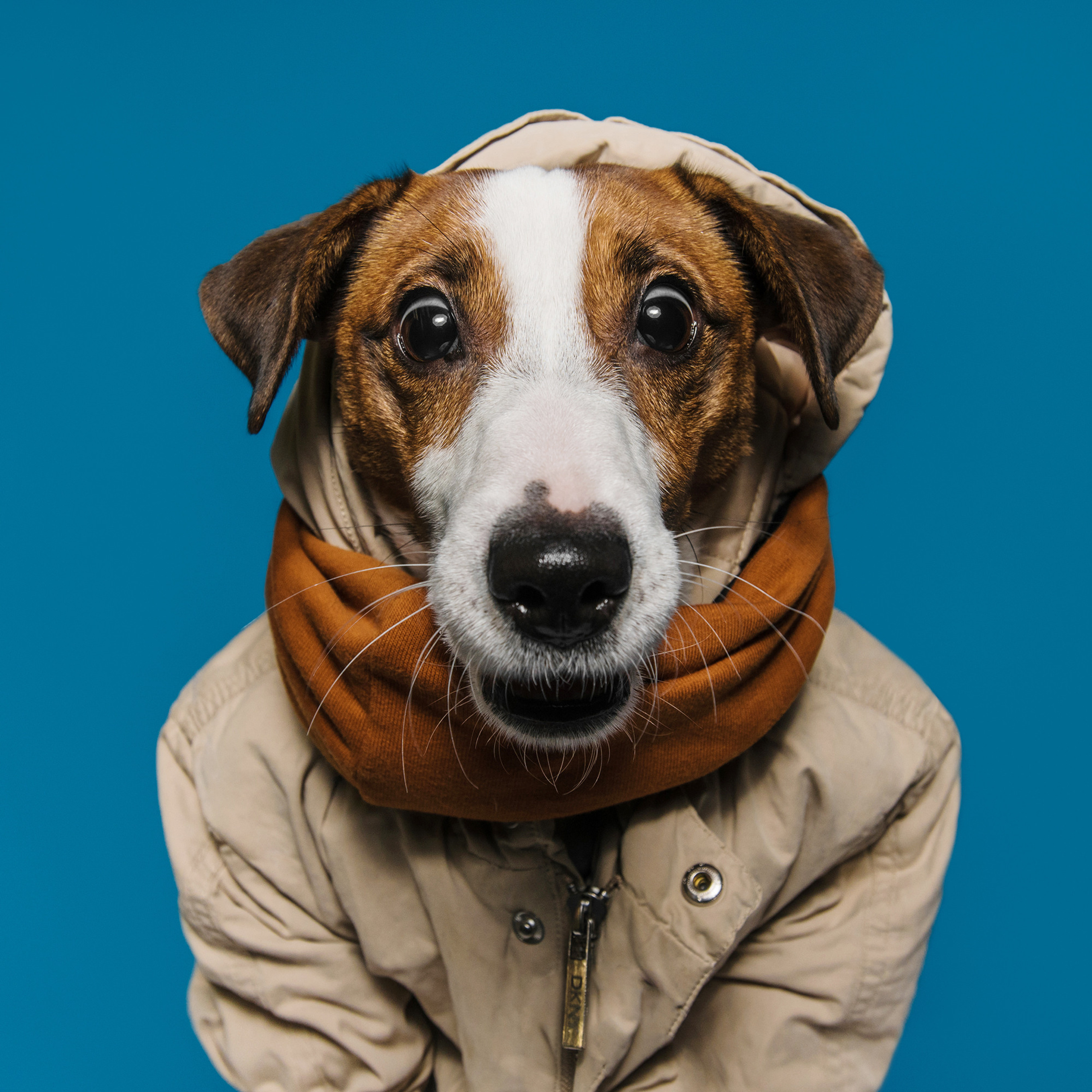 Фотодень в студии. Фотограф Анна Тюрина