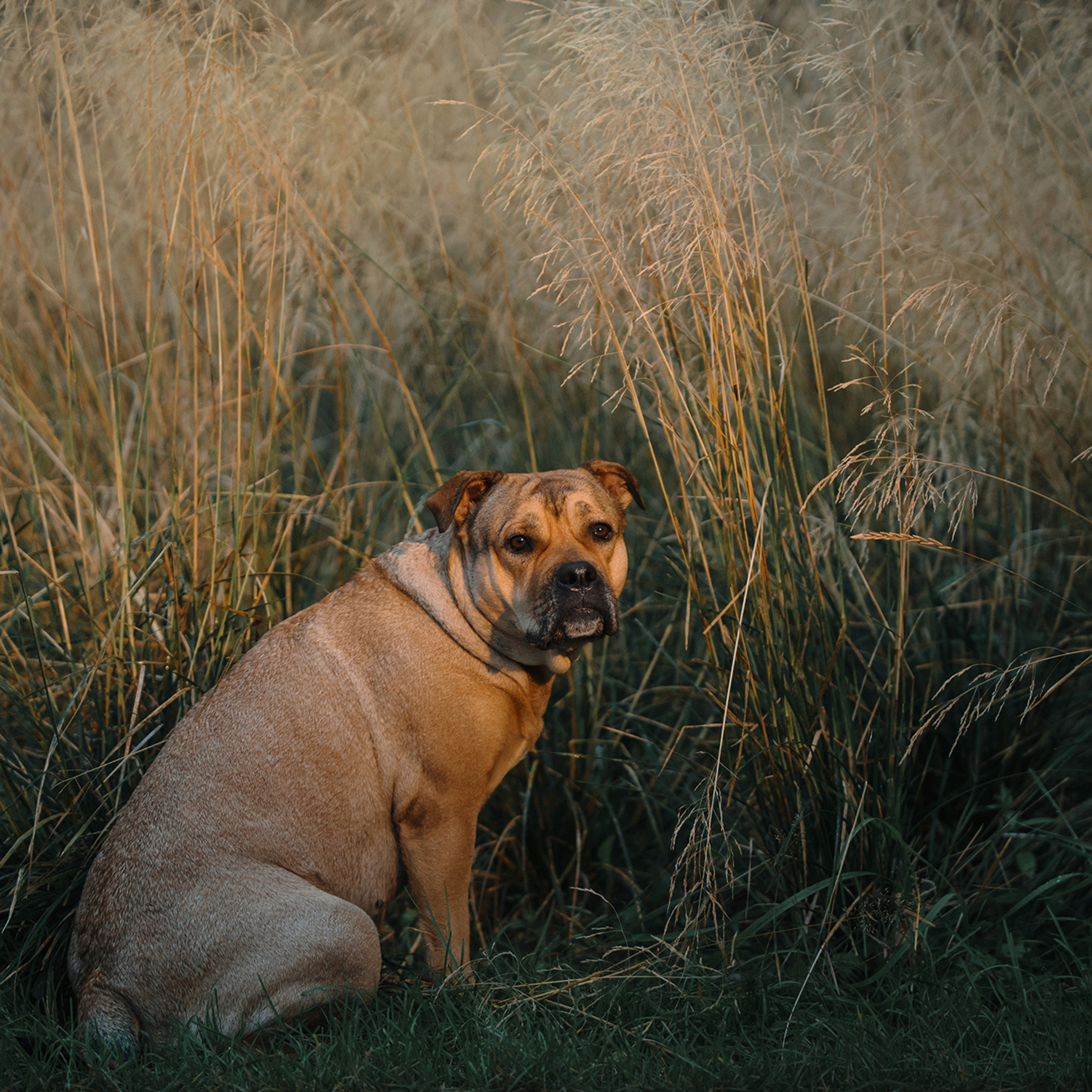 Ка де бо Лина. Фотограф Анна Тюрина