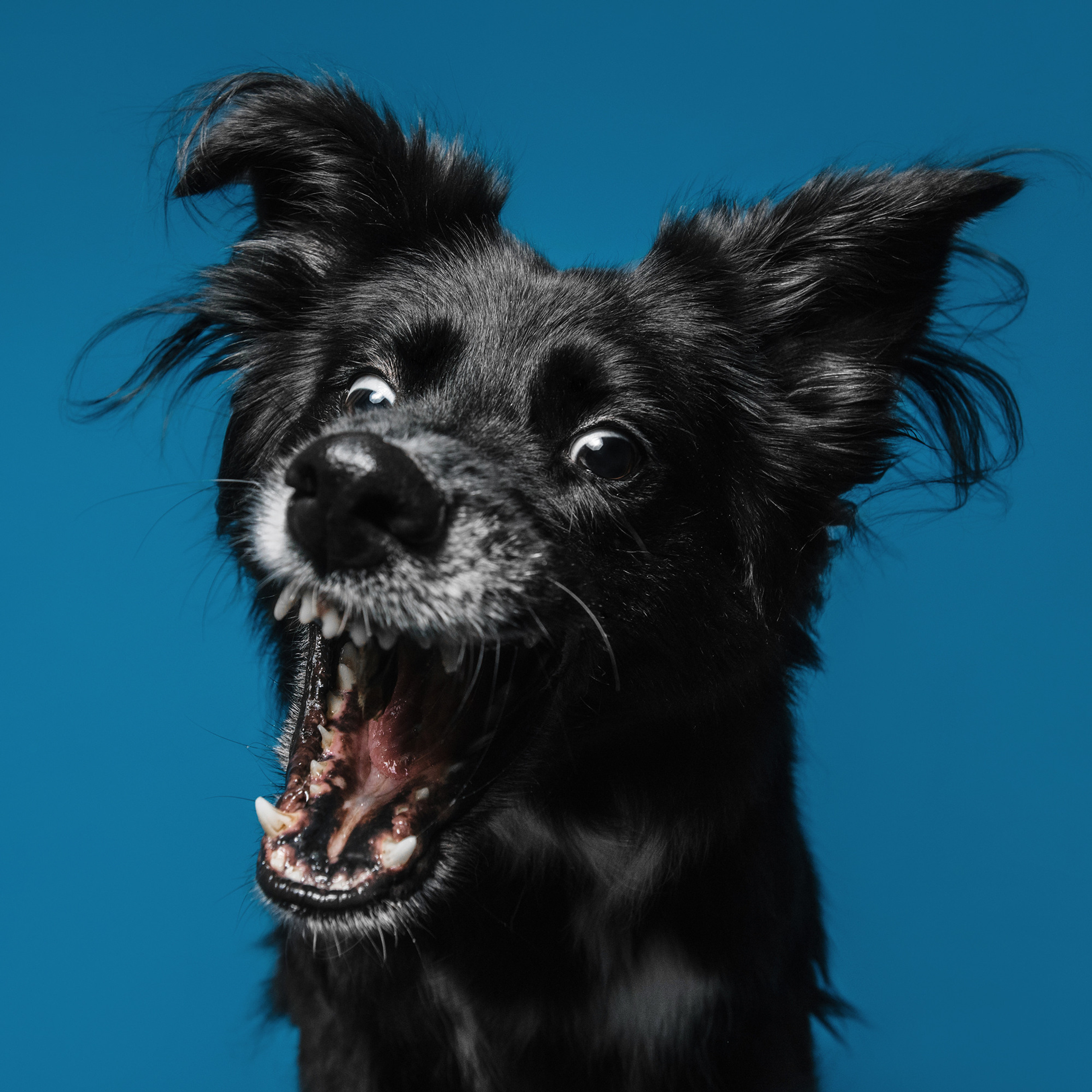 Фотодень в студии. Фотограф Анна Тюрина