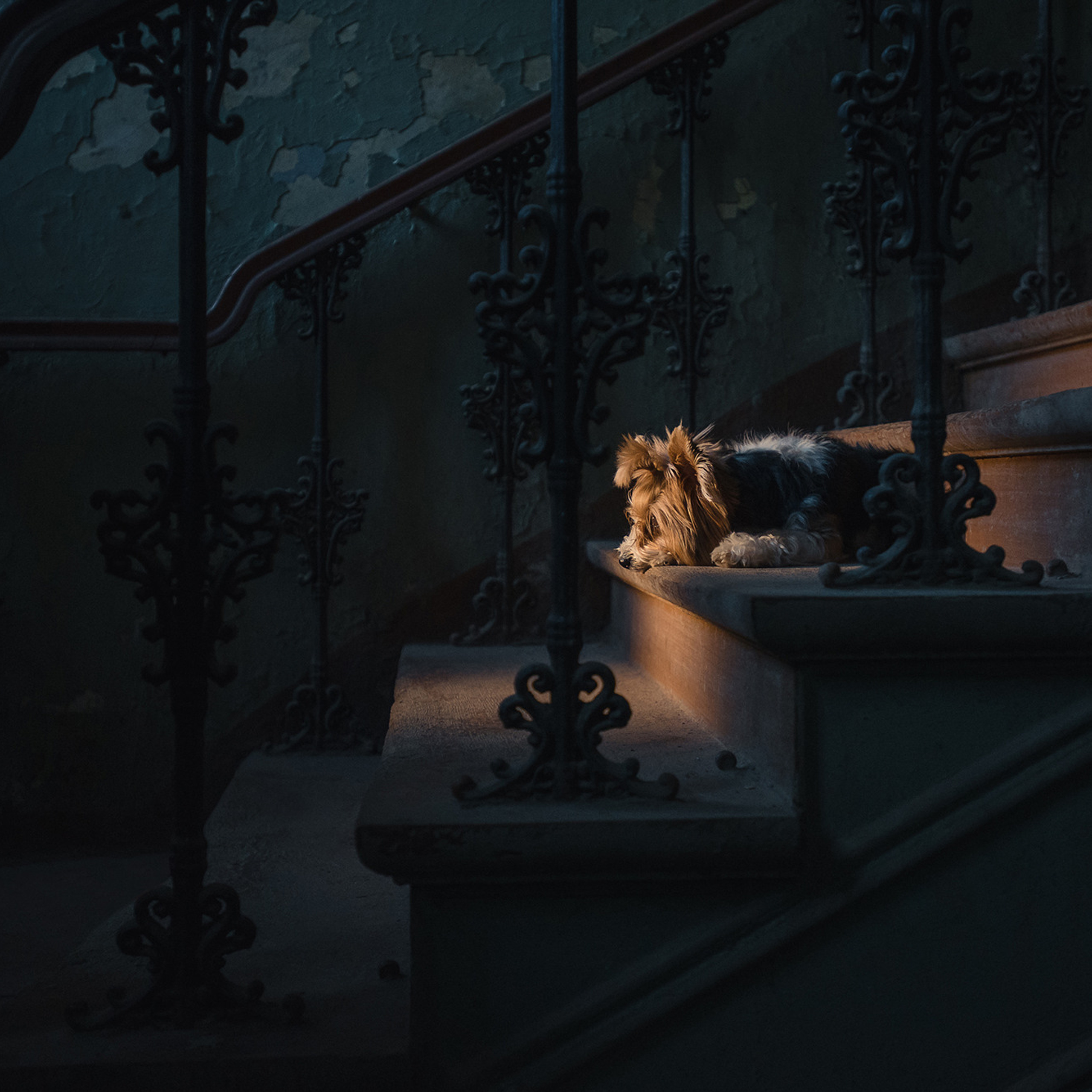 Алина и Яся. Фотограф Анна Тюрина