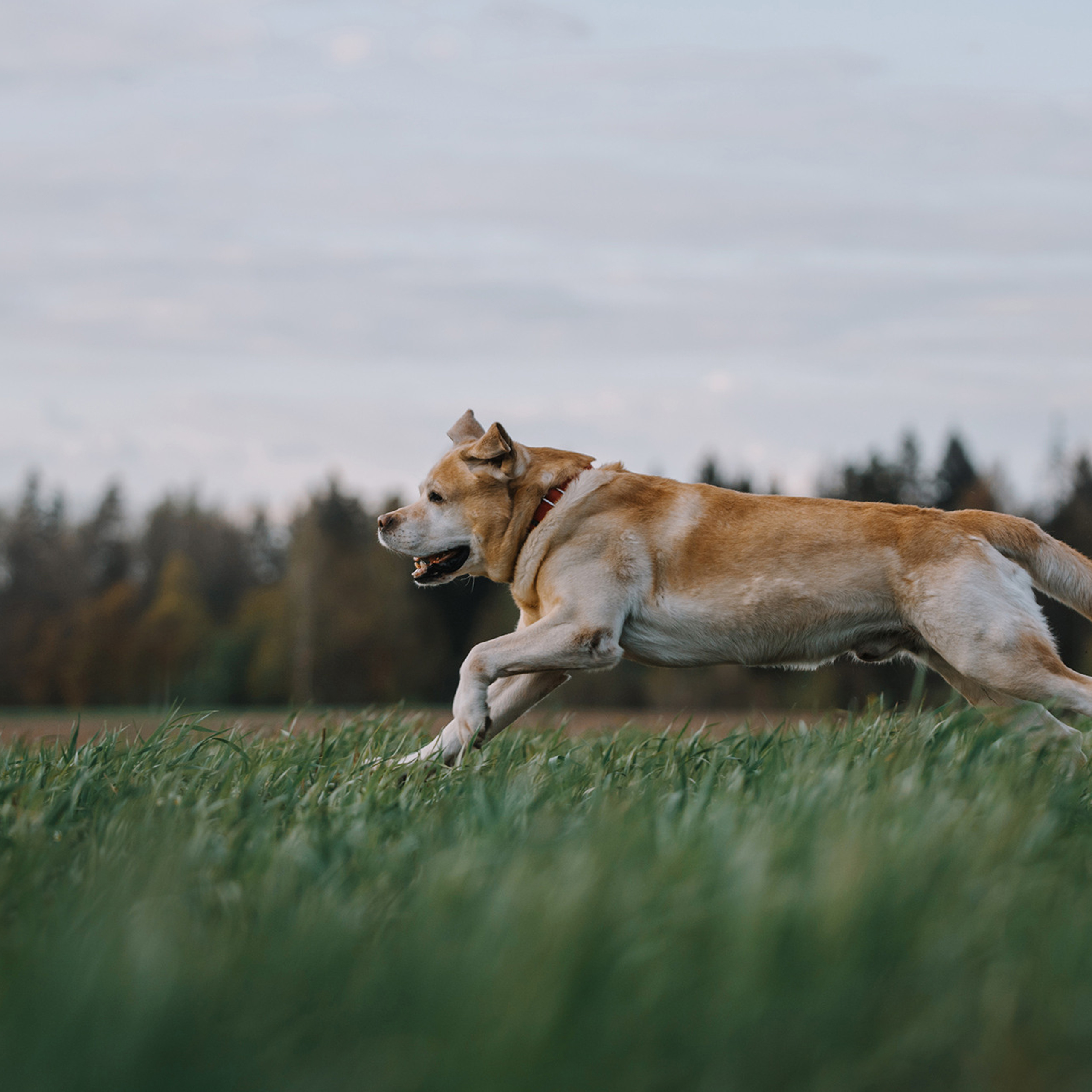 Большая семья. Фотограф Анна Тюрина