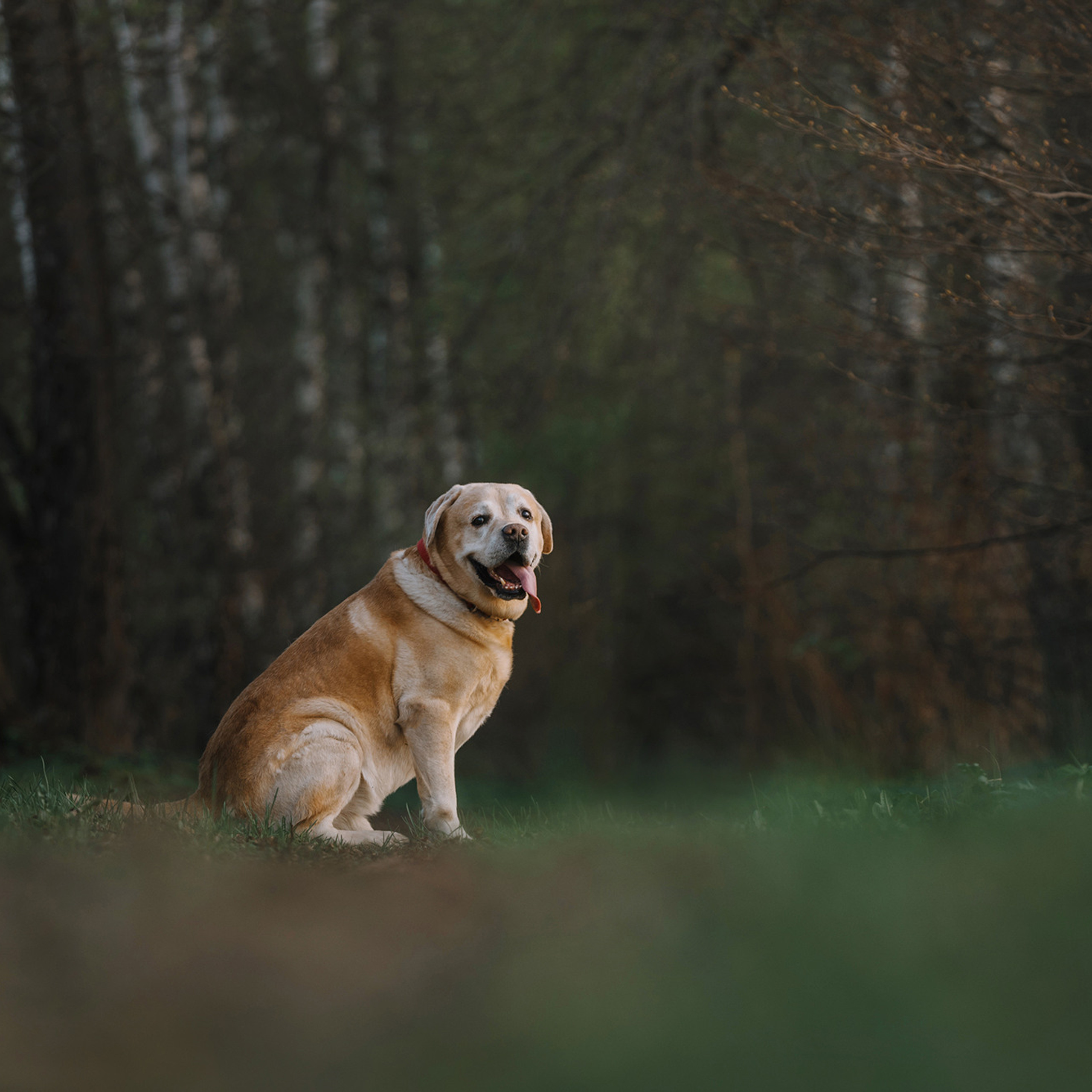 Большая семья. Фотограф Анна Тюрина