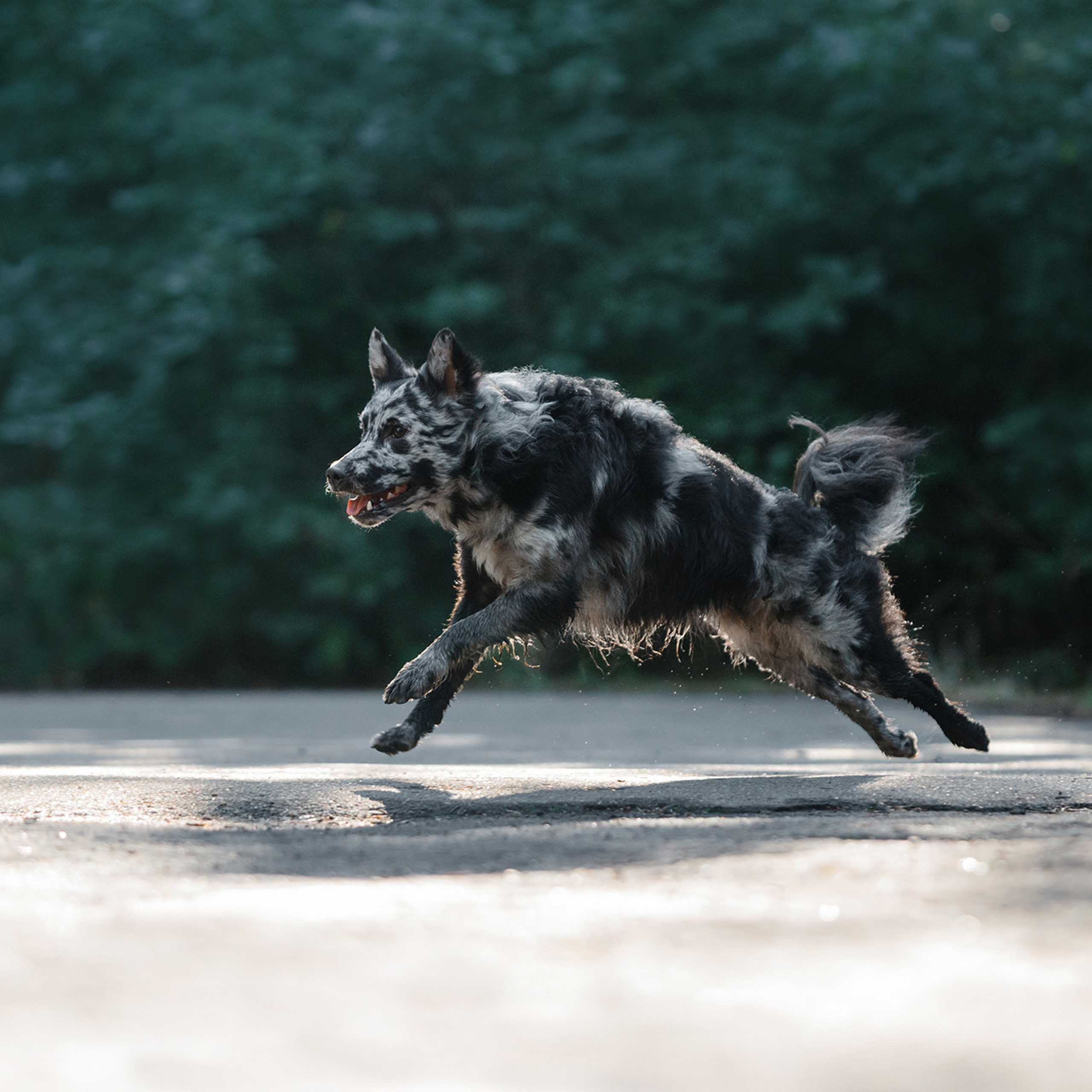 Ира, Инди и Сеня. Фотограф Анна Тюрина