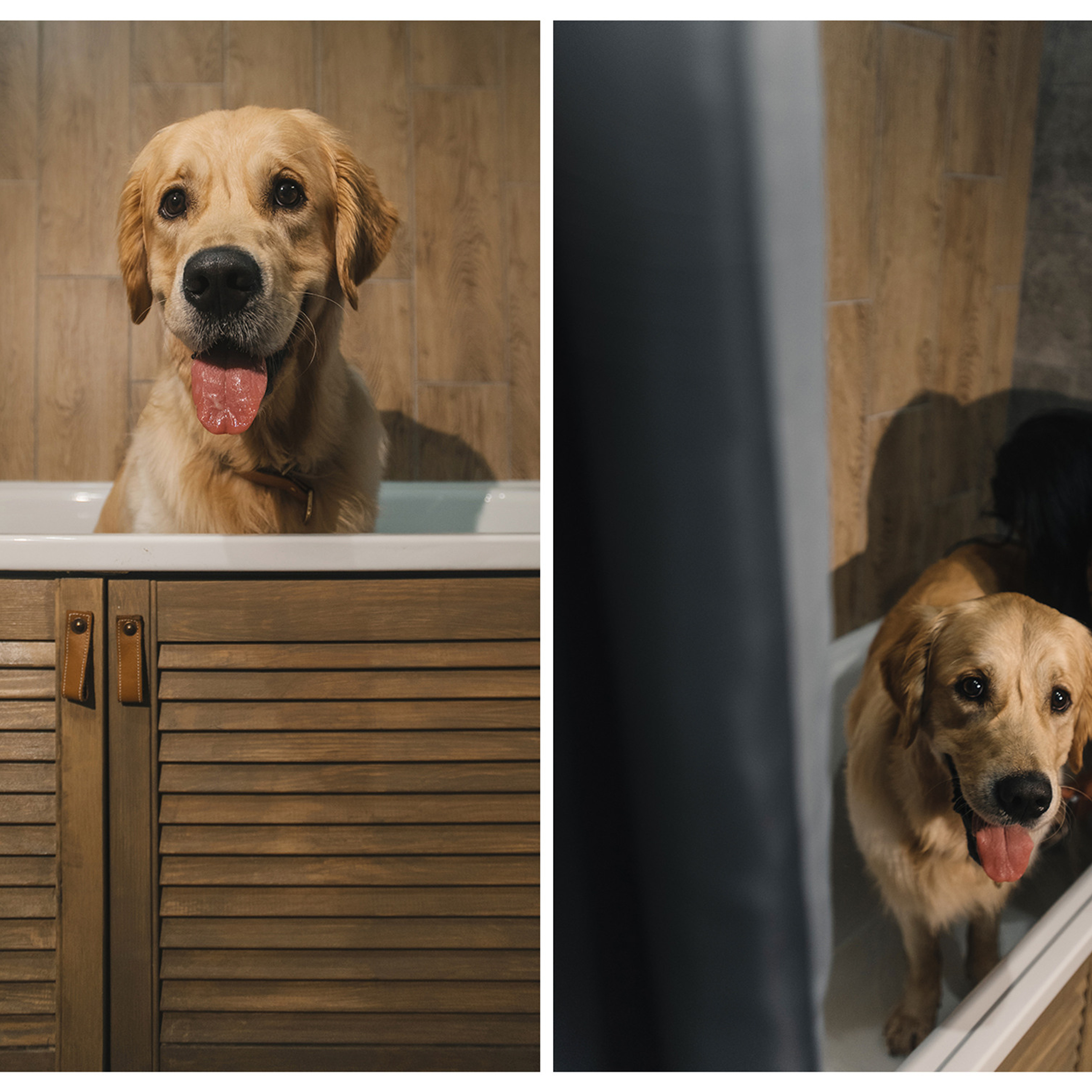 Светлана и Чарли. Фотограф Анна Тюрина