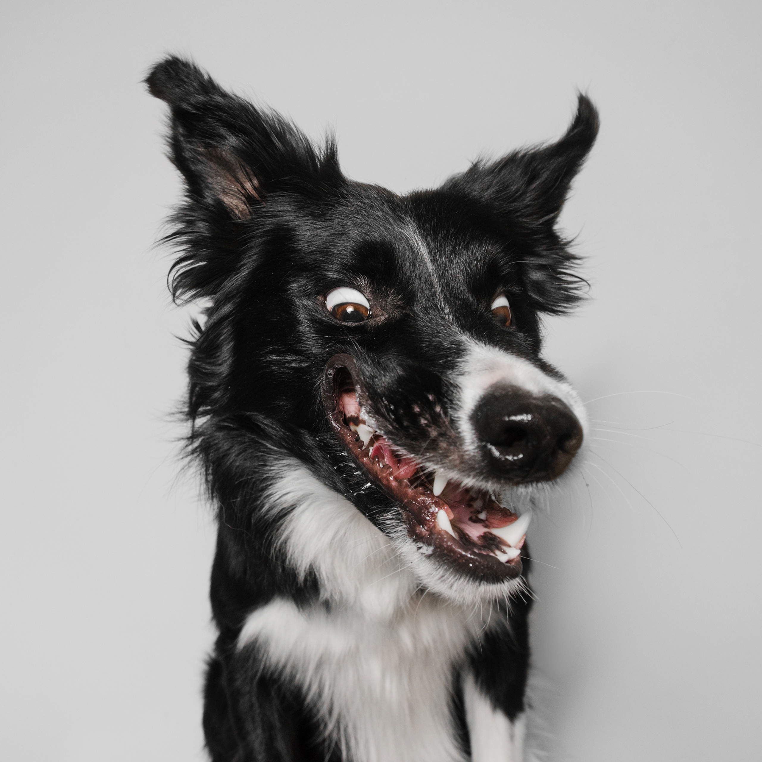 Съёмка с кусочком. Фотограф Анна Тюрина