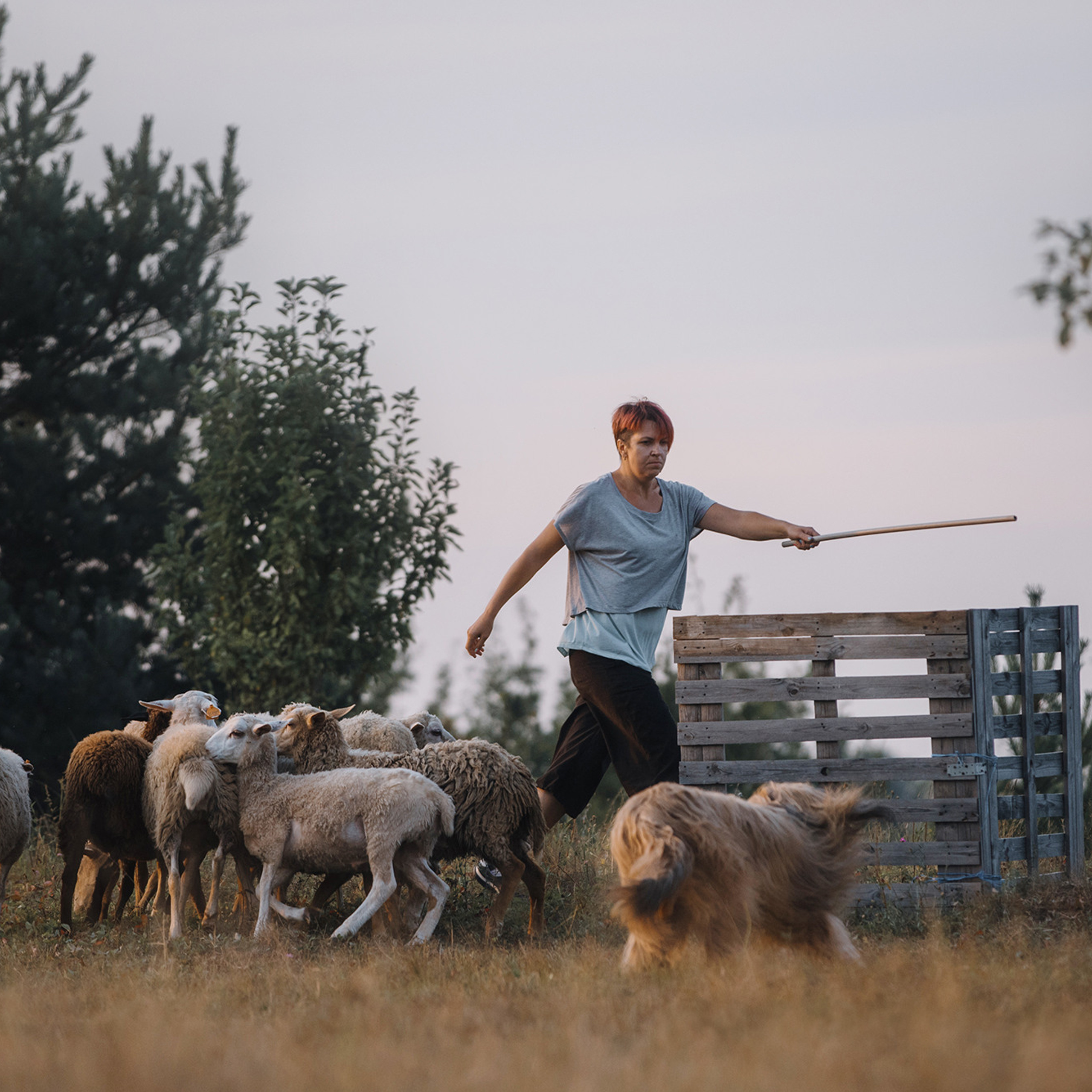 Пастьба. Фотограф Анна Тюрина