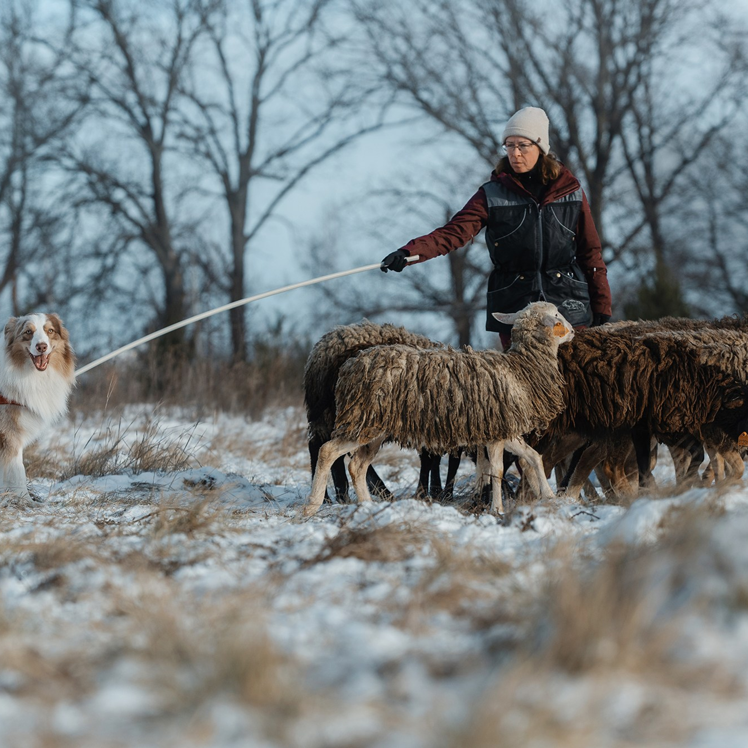 Пастьба. Фотограф Анна Тюрина