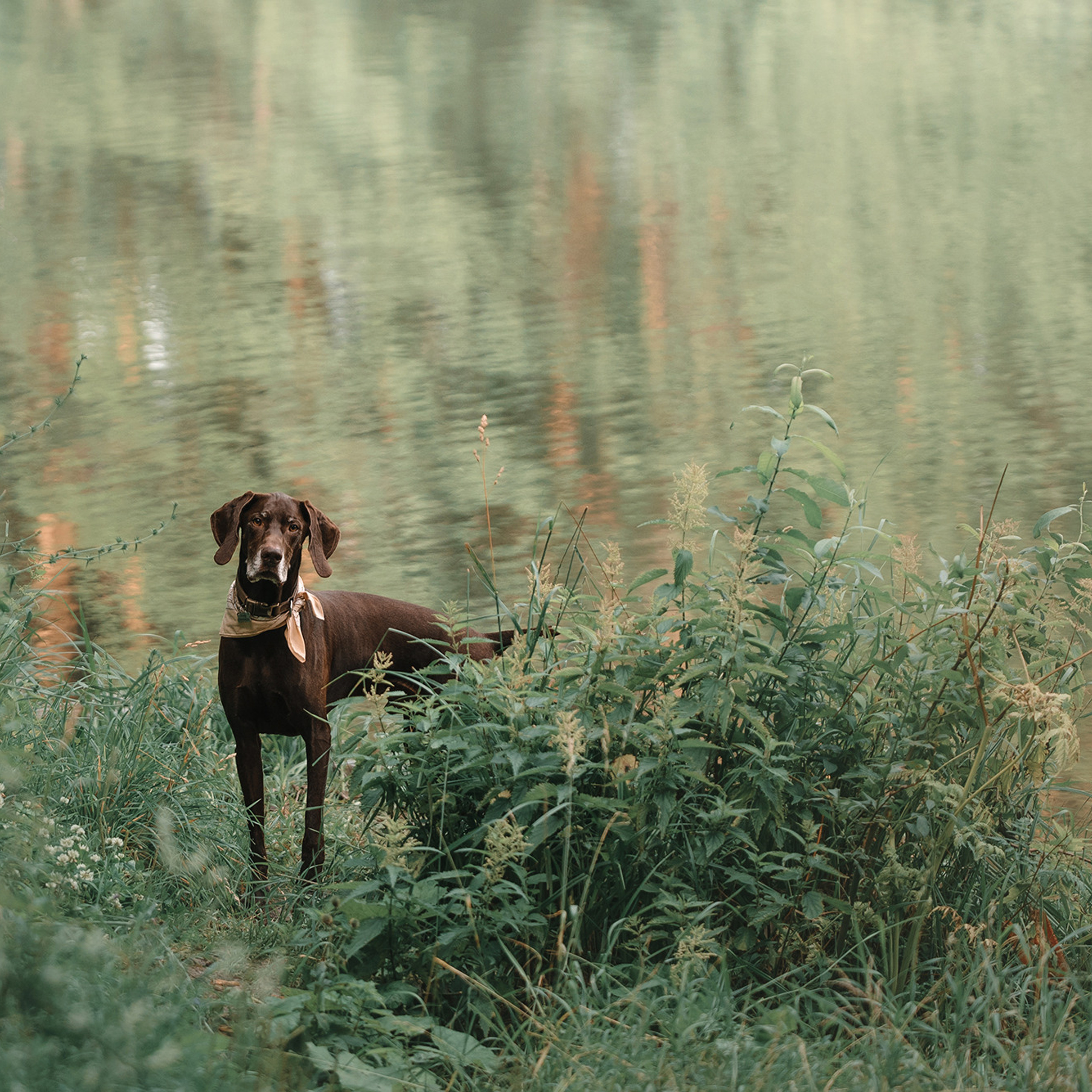 Ира и Клайд. Фотограф Анна Тюрина