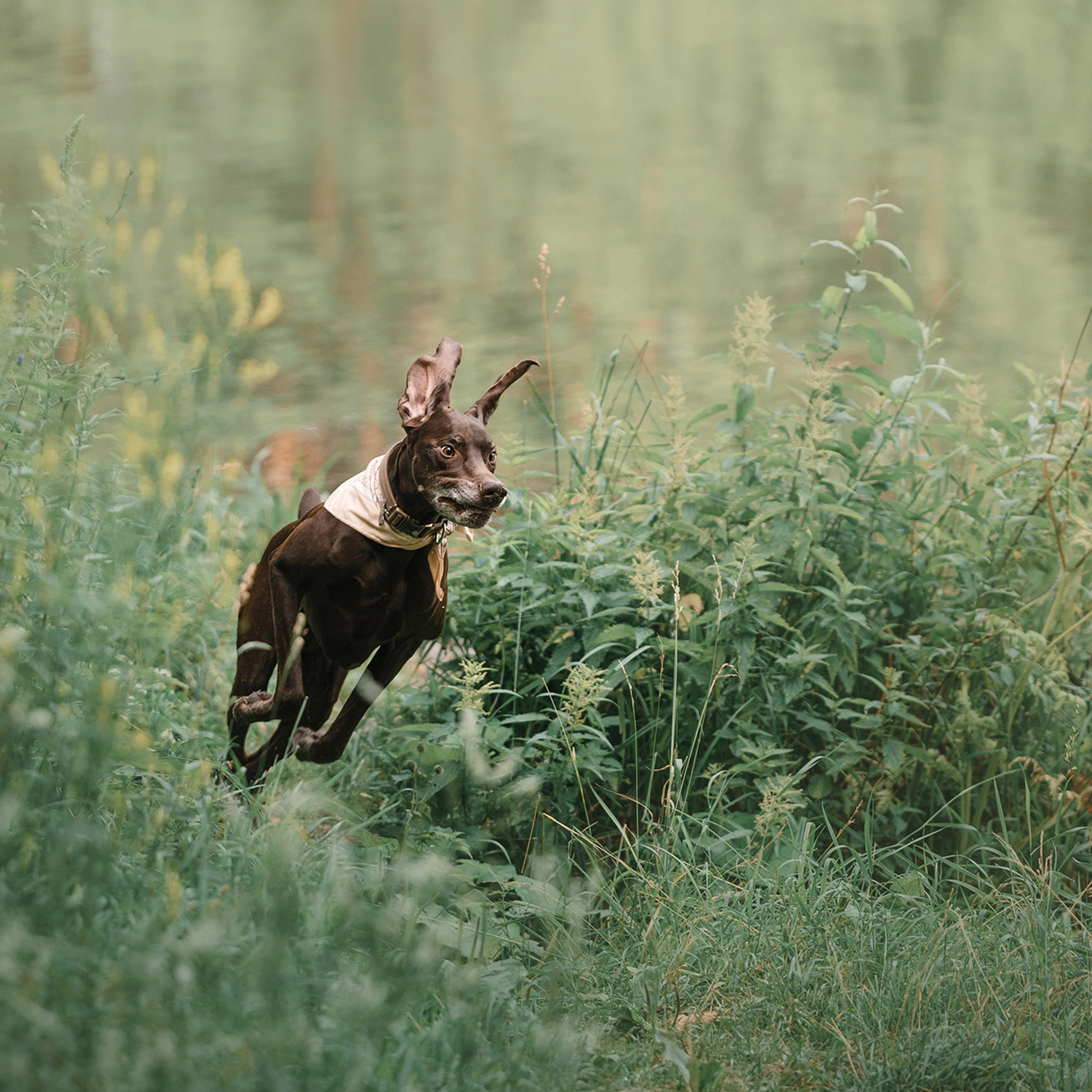 Ира и Клайд. Фотограф Анна Тюрина