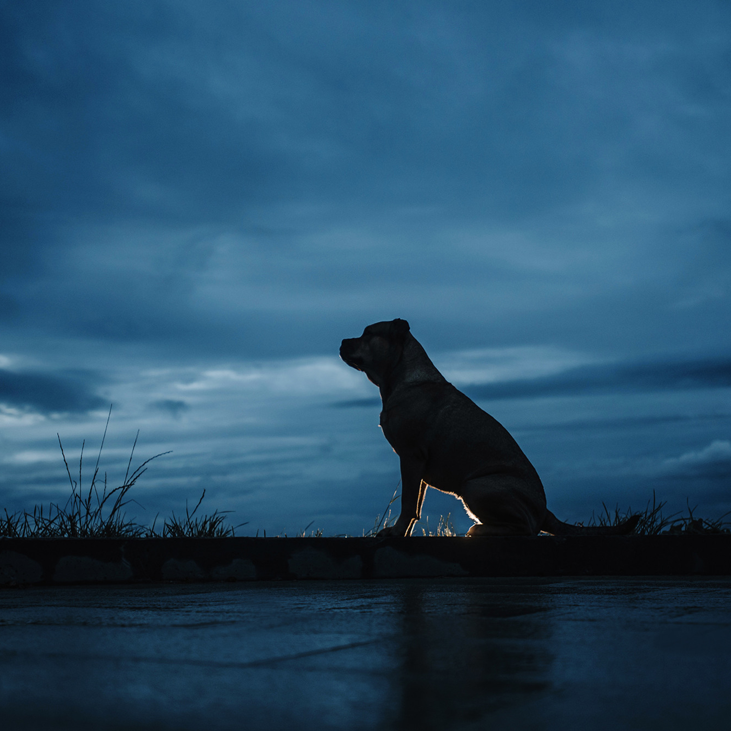 Ка де бо Лина. Фотограф Анна Тюрина