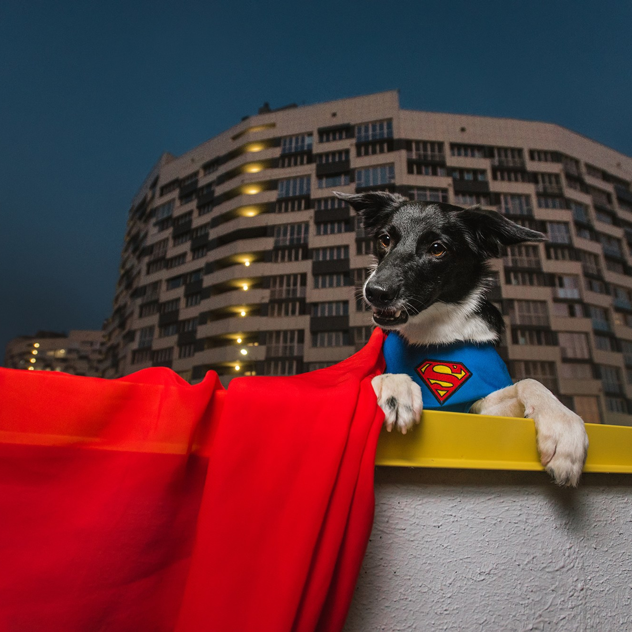 Чистое творчество. Фотограф Анна Тюрина