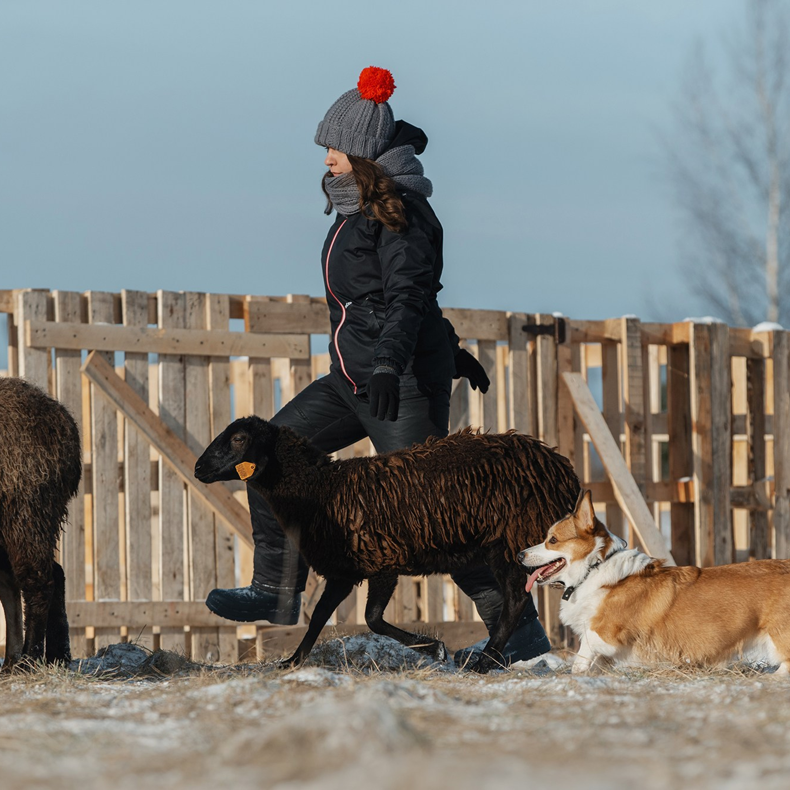 Пастьба. Фотограф Анна Тюрина