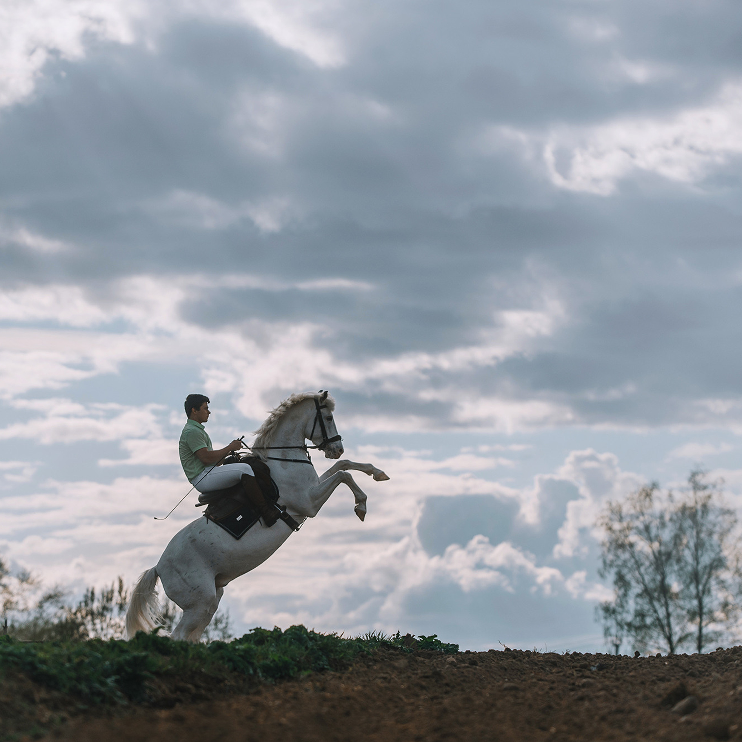 Большая семья. Фотограф Анна Тюрина