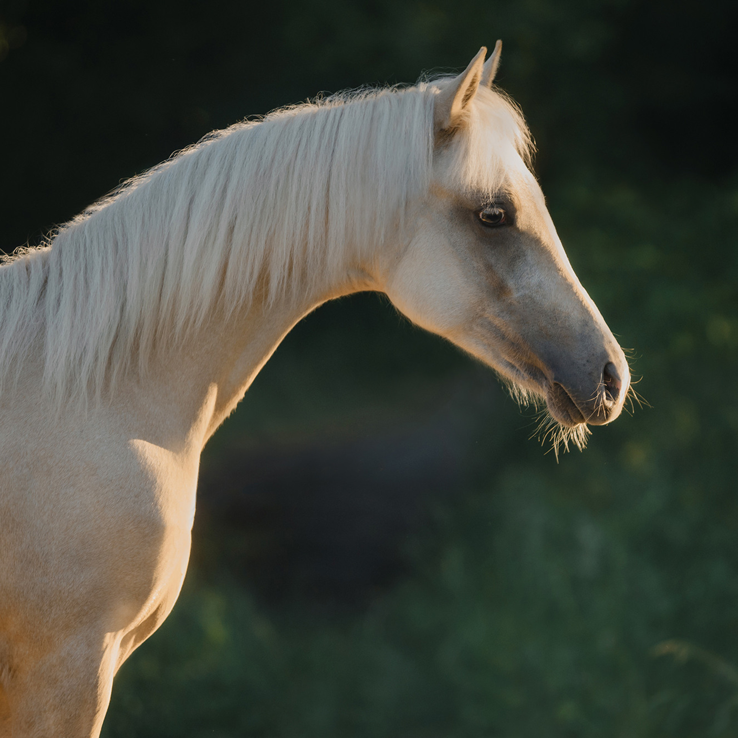 Евгения и семья. Фотограф Анна Тюрина