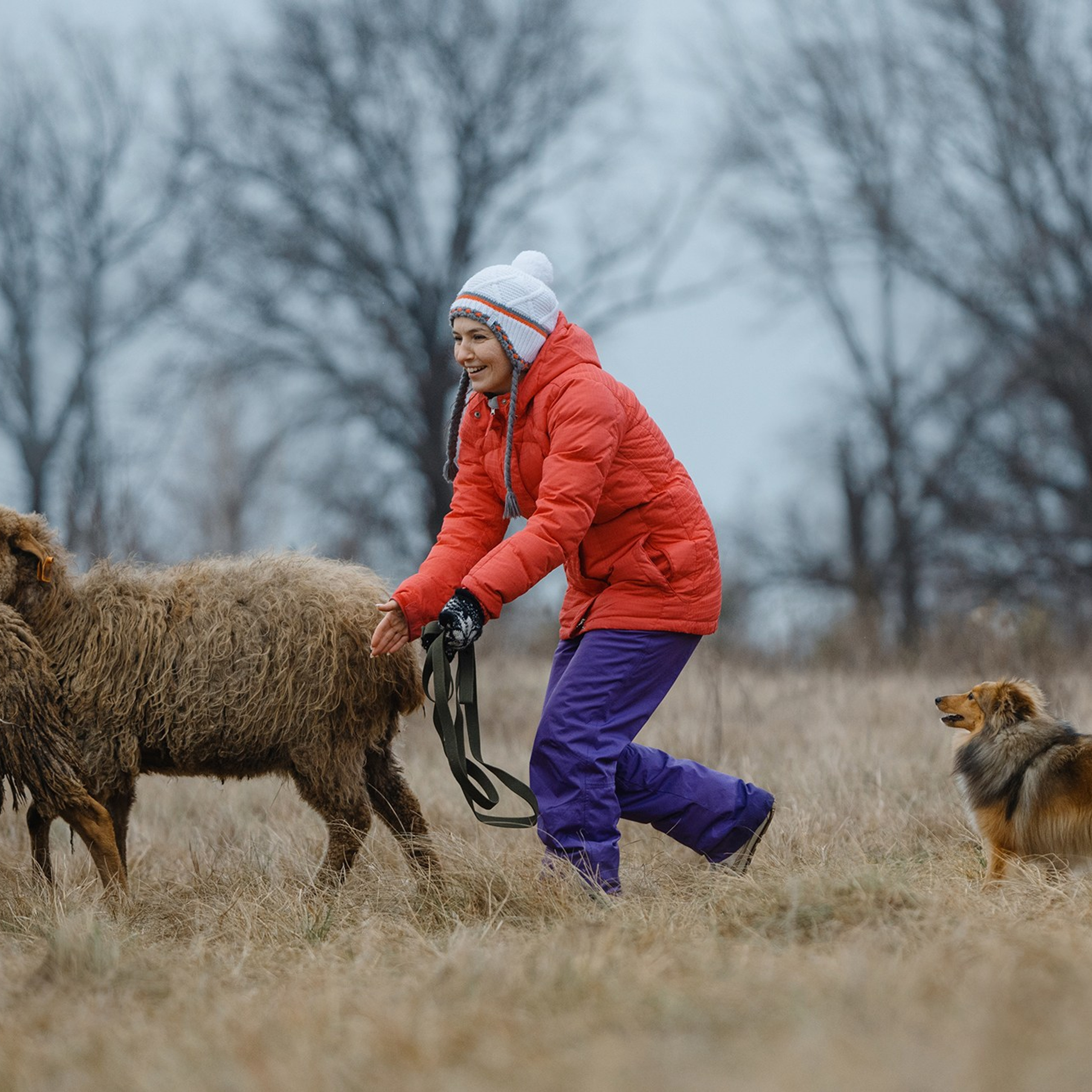 Пастьба. Фотограф Анна Тюрина