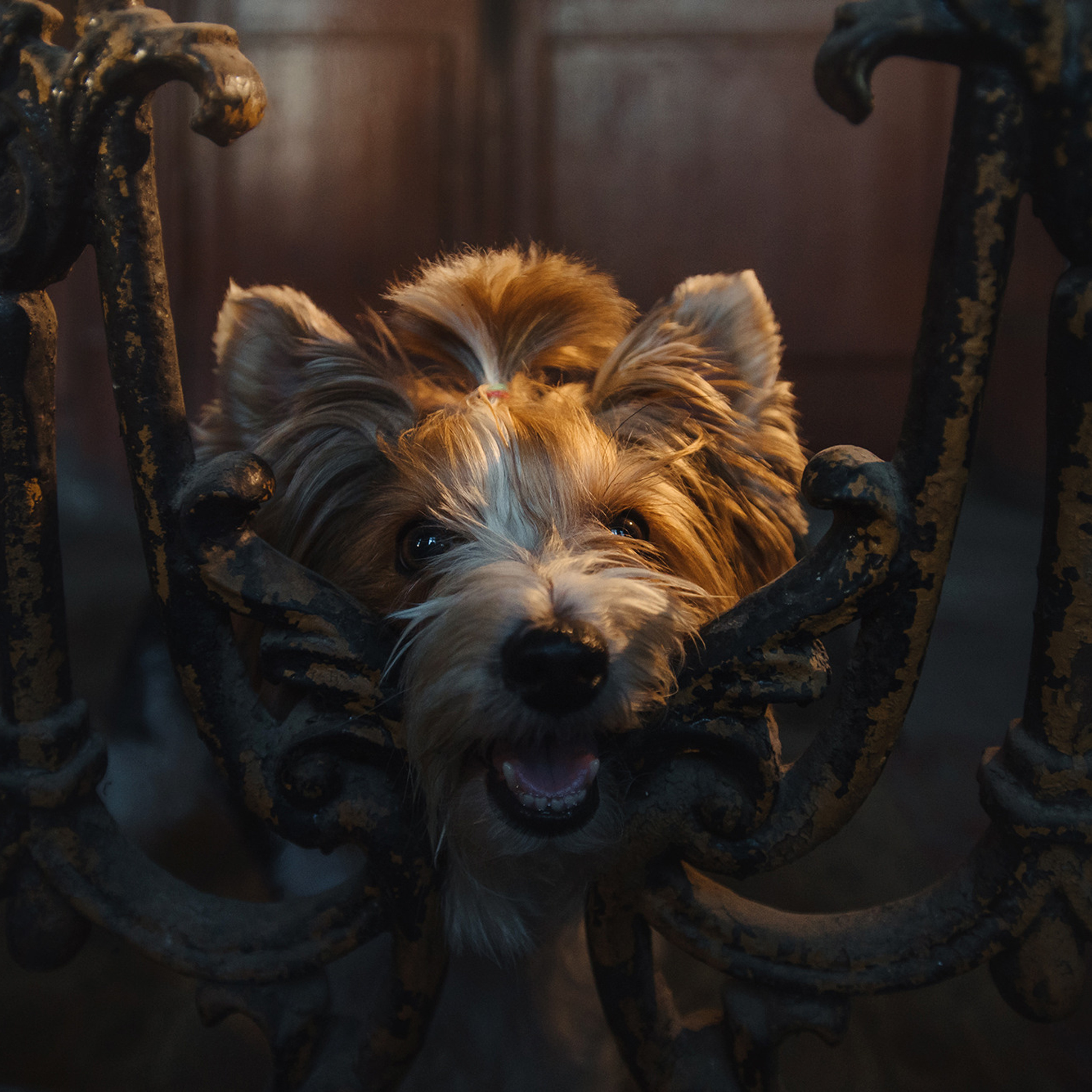 Алина и Яся. Фотограф Анна Тюрина