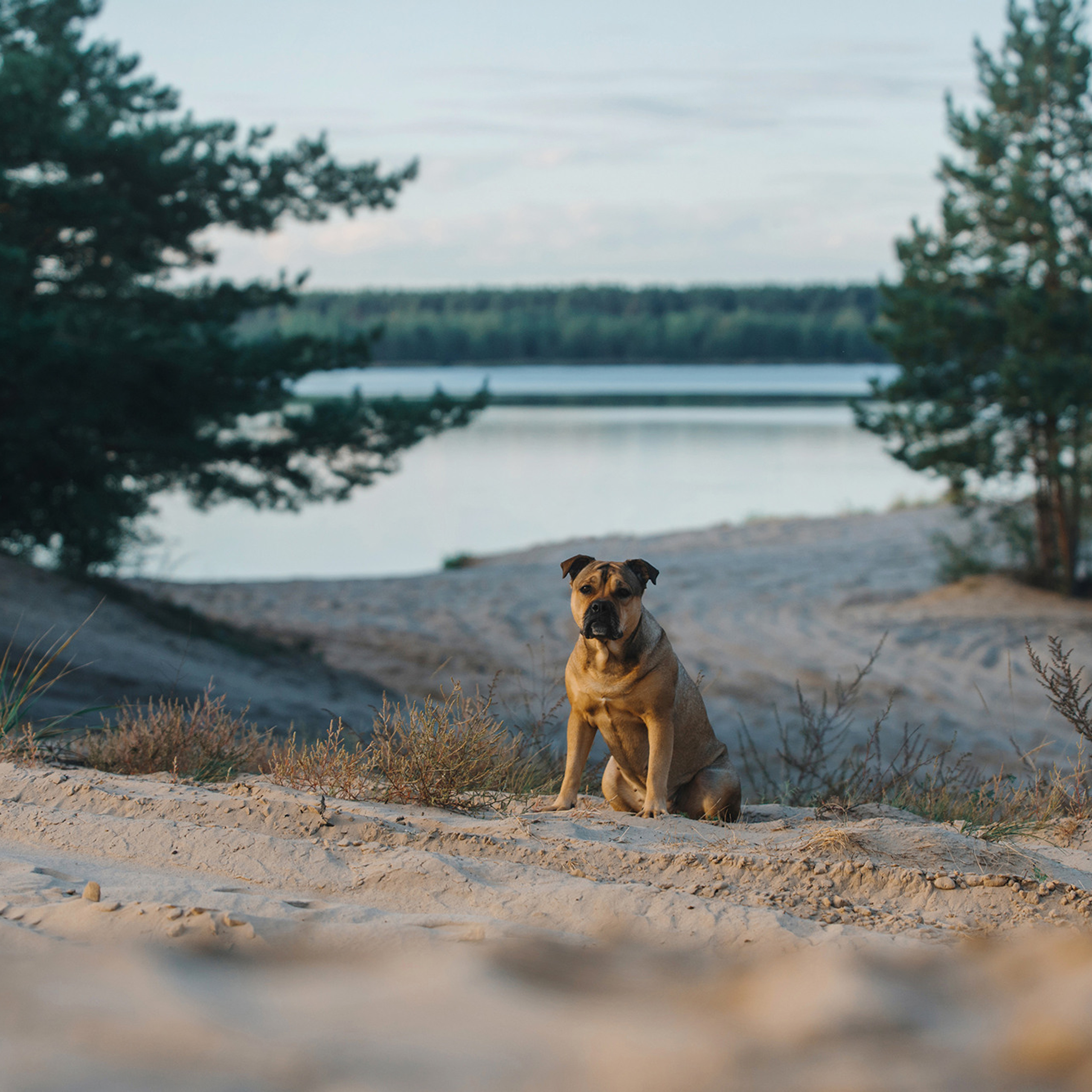 Ка де бо Лина. Фотограф Анна Тюрина